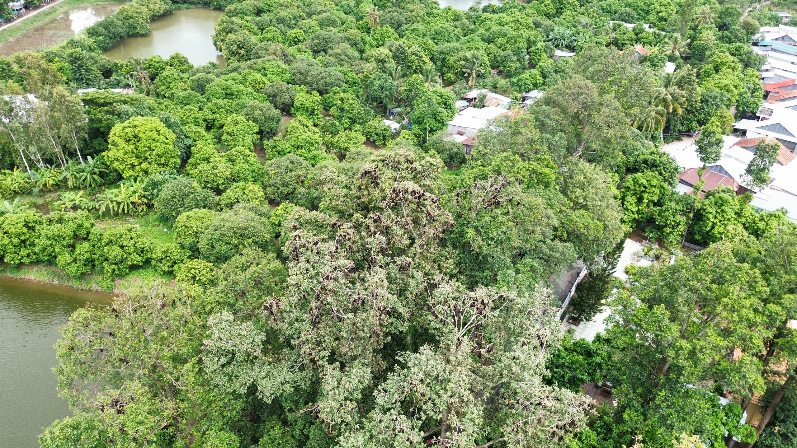 - Zdjęcie 3.  - Ảnh 3.