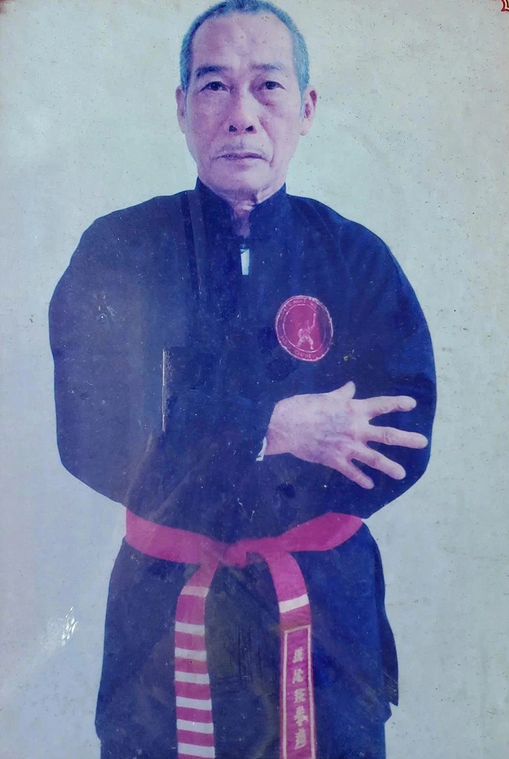 후에 무술의 정수: 응우빈산 기슭의 두 종파의 수장