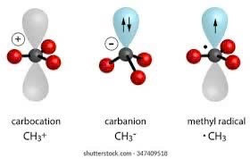 - Ảnh 2. - Ảnh 2.