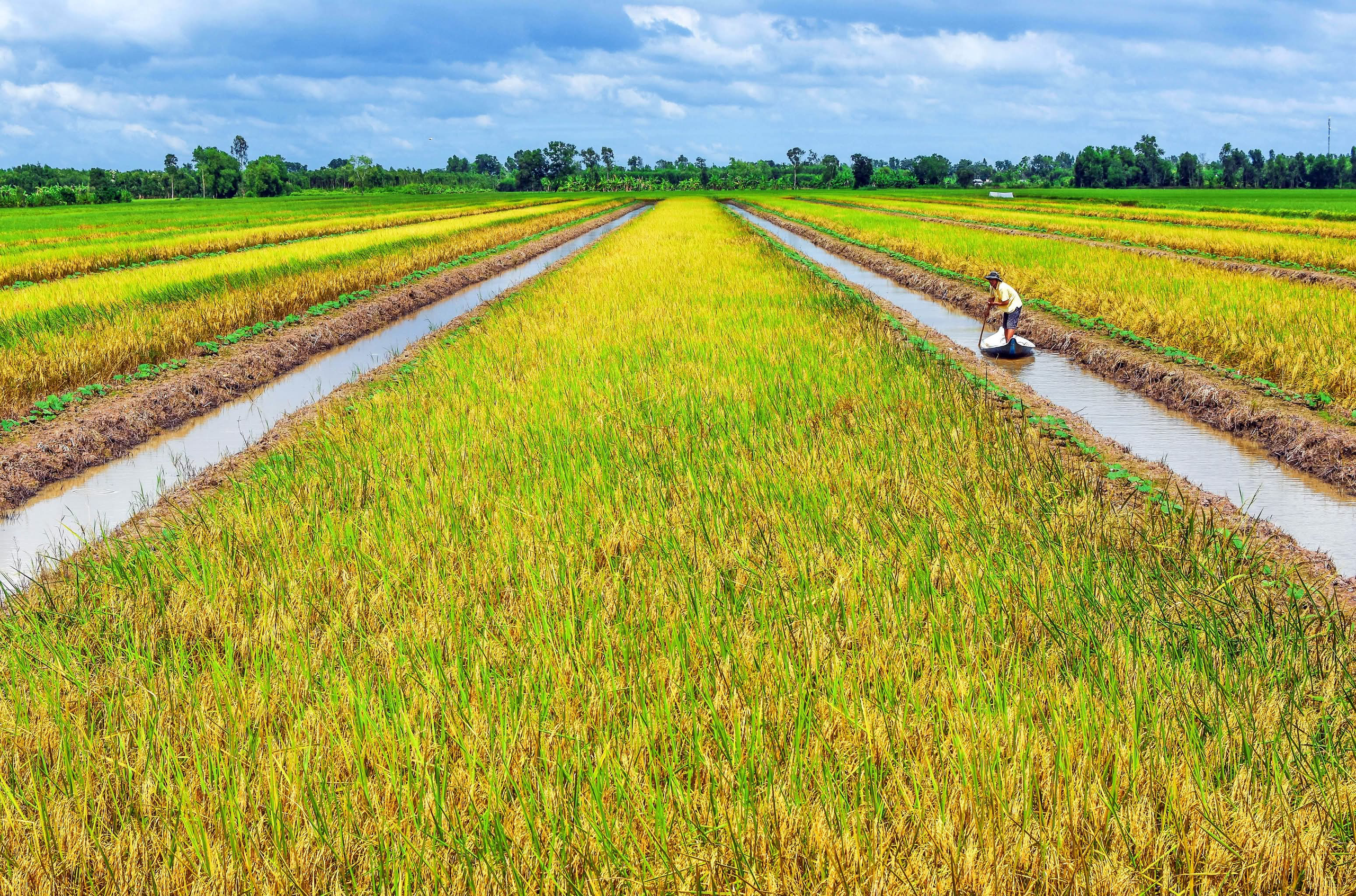 Hợp nhất Bạc Liêu - Cà Mau mở rộng không gian phát triển- Ảnh 3. Hợp nhất Bạc Liêu - Cà Mau mở rộng không gian phát triển- Ảnh 3.