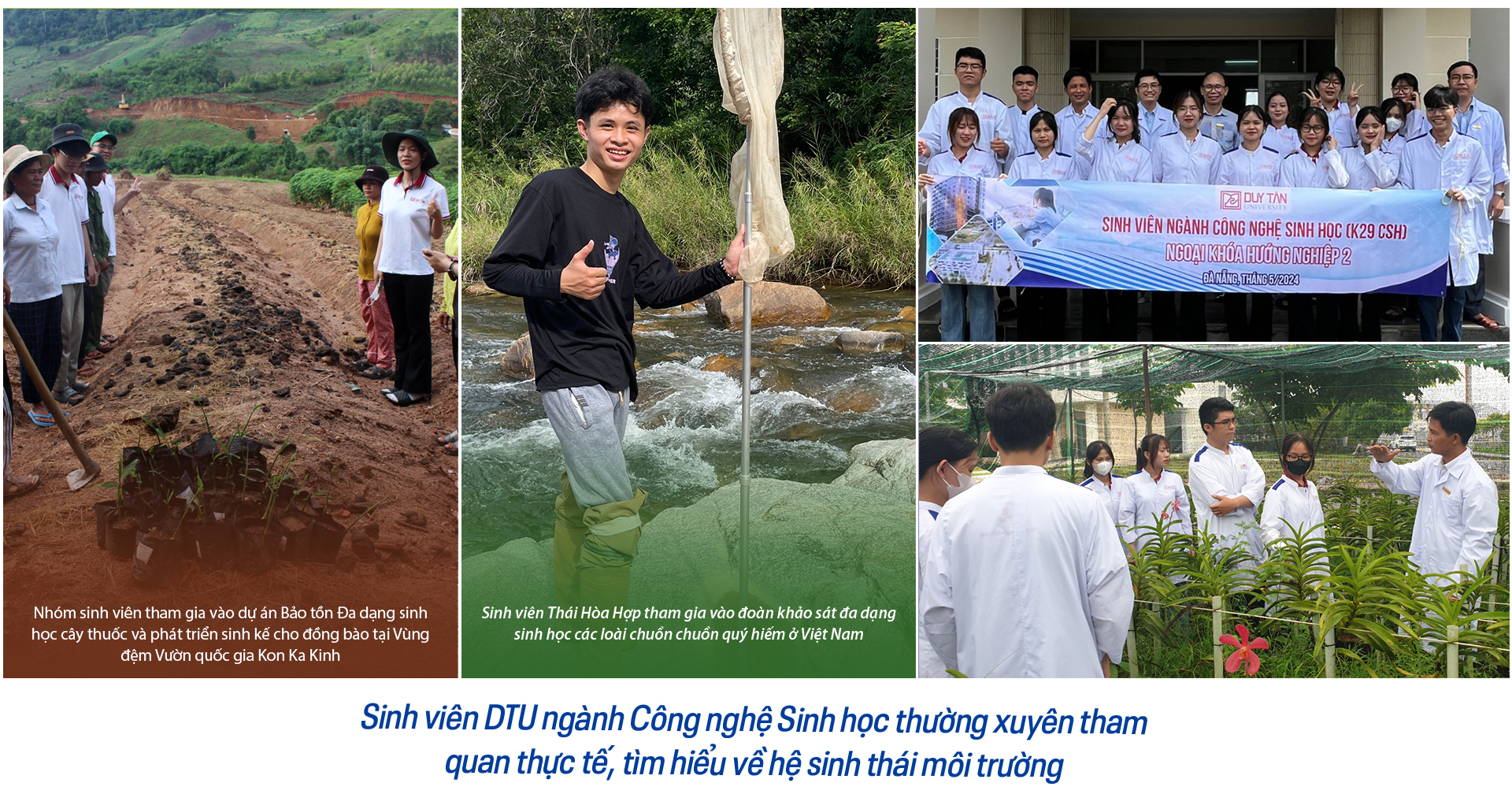 A Duy Tan Egyetem biotechnológiai és gyógyszerészeti képzése a 251-300. helyen áll a világon - 3. kép. ĐH Duy Tân đào tạo Công nghệ Sinh học và Dược sĩ xếp hạng 251 - 300 thế giới - Ảnh 3.