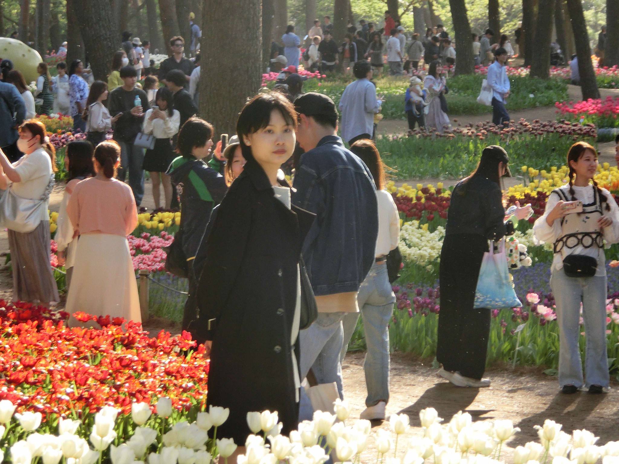 - Ảnh 4. Động đất Nhật Bản: Người Việt 'ám ảnh nhất tiếng chuông cảnh báo' và cách xử trí - Ảnh 4.