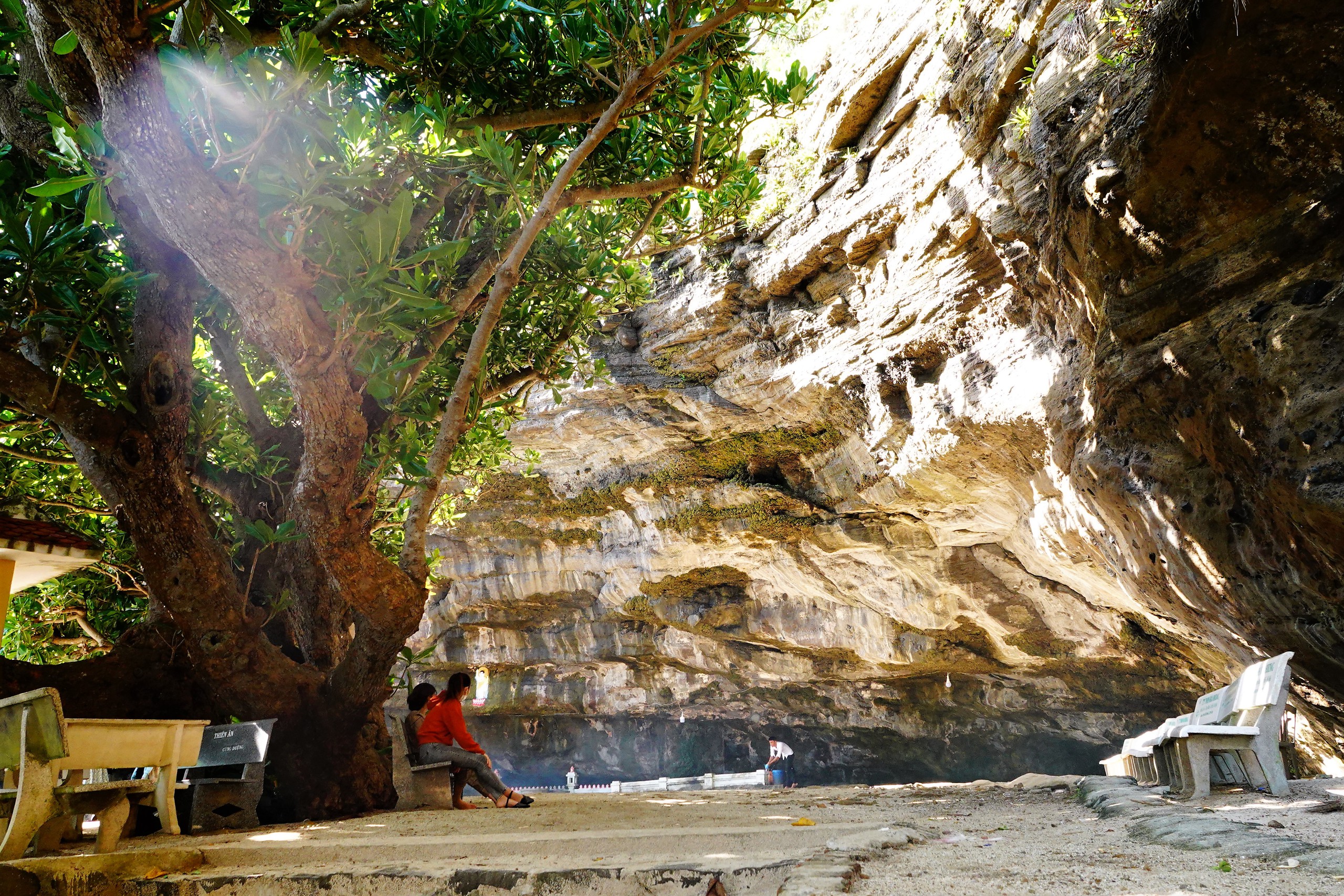 Khám phá Lý Sơn: Đặc khu đất chật người đông ở Việt Nam - Ảnh 20. Khám phá Lý Sơn: Đặc khu đất chật người đông ở Việt Nam - Ảnh 20.
