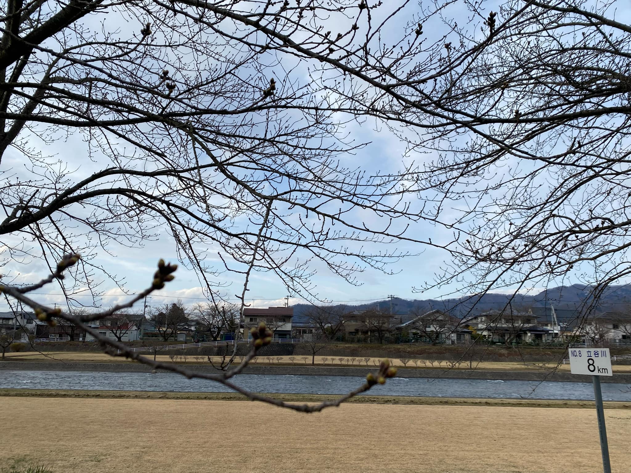 - Ảnh 2. Động đất Nhật Bản: Người Việt 'ám ảnh nhất tiếng chuông cảnh báo' và cách xử trí - Ảnh 2.