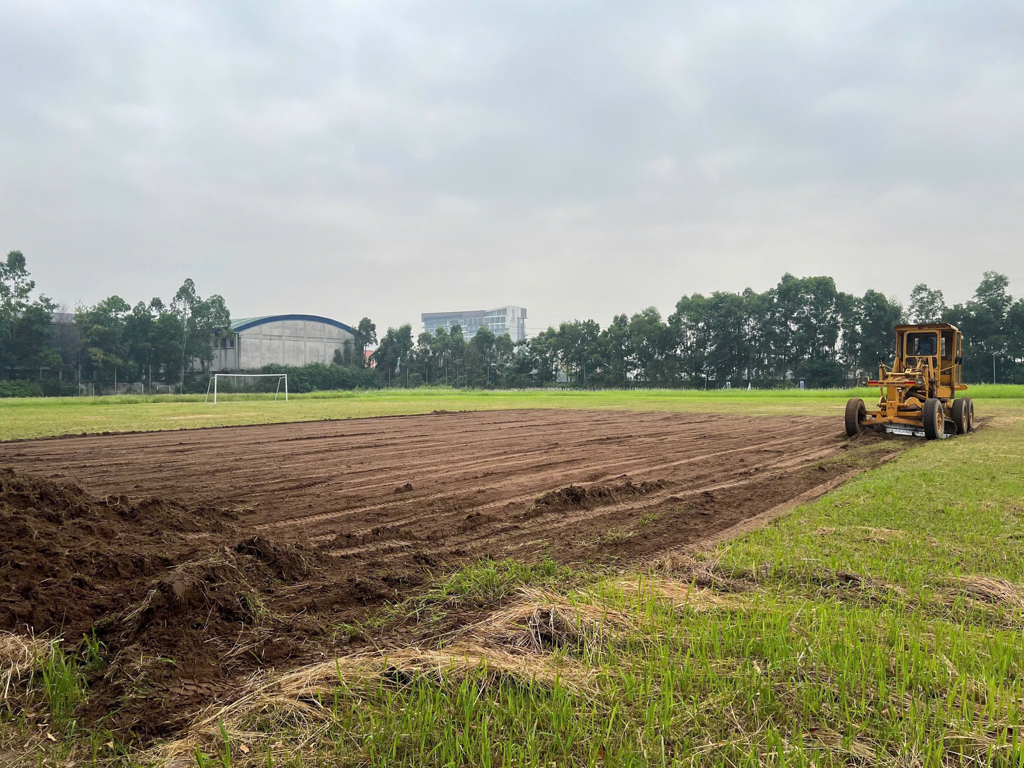 Španělský trenér a Ninh Binh FC se chystají „dominovat“ na krásném hřišti - Foto 3. HLV Tây Ban Nha và Ninh Bình FC sắp được ‘tung hoành’ trên mặt sân cực đẹp- Ảnh 3.