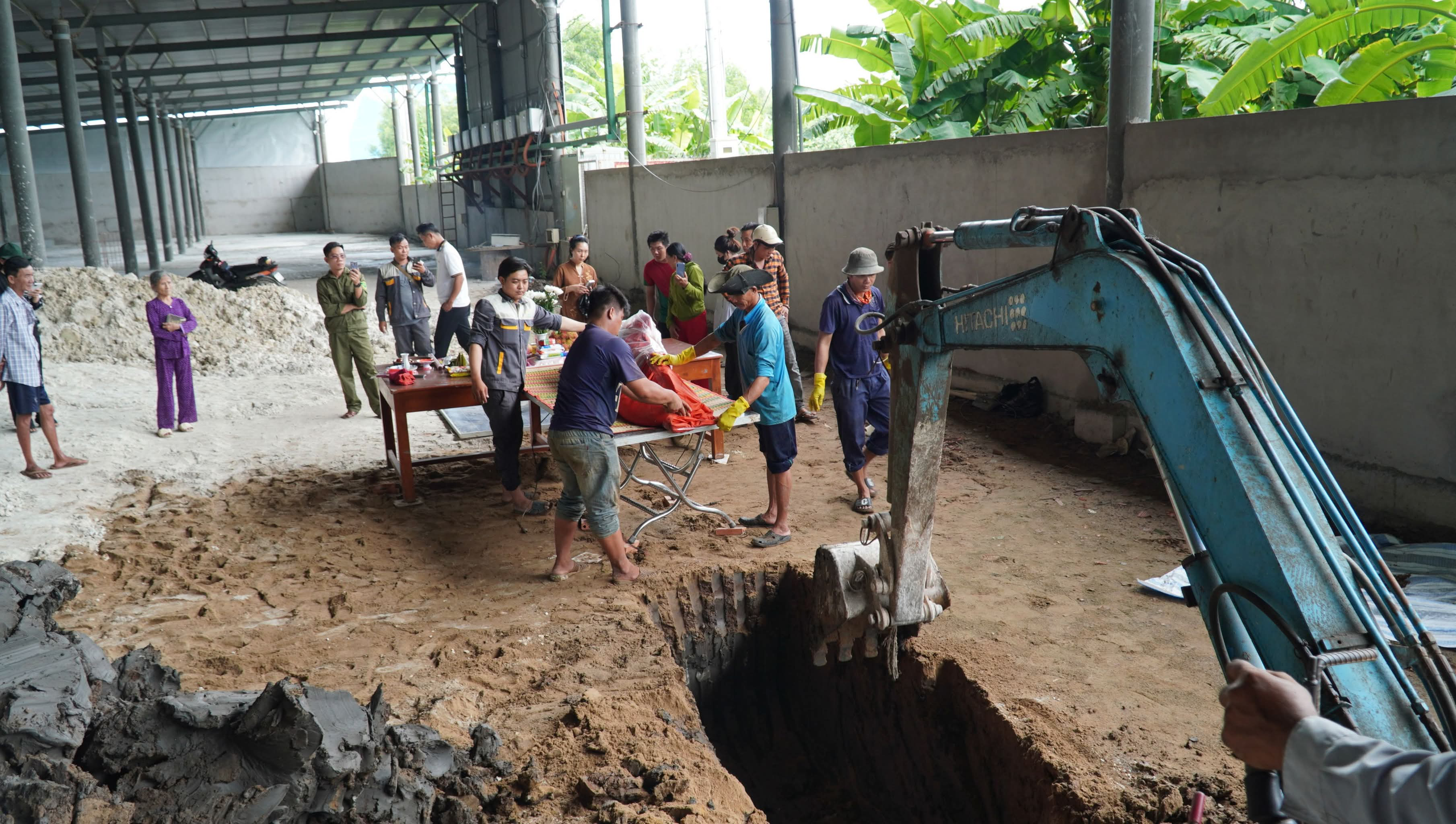Cá heo bị chĩa sắt đâm trên sông Gành Hào chết sau hai ngày được giải cứu - Ảnh 5.