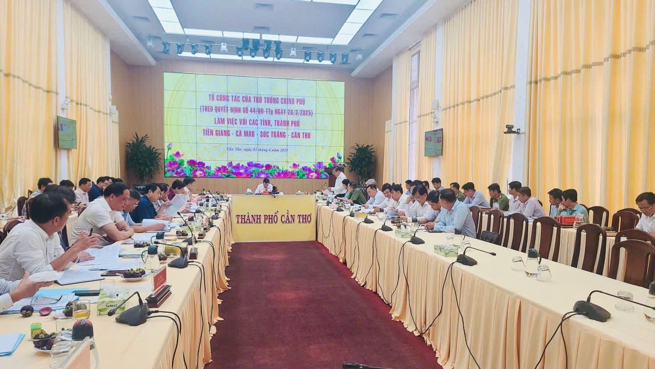 Tổ công tác Chính phủ làm việc với Cần Thơ về giải quyết khiếu nại, tố cáo - Ảnh 1.