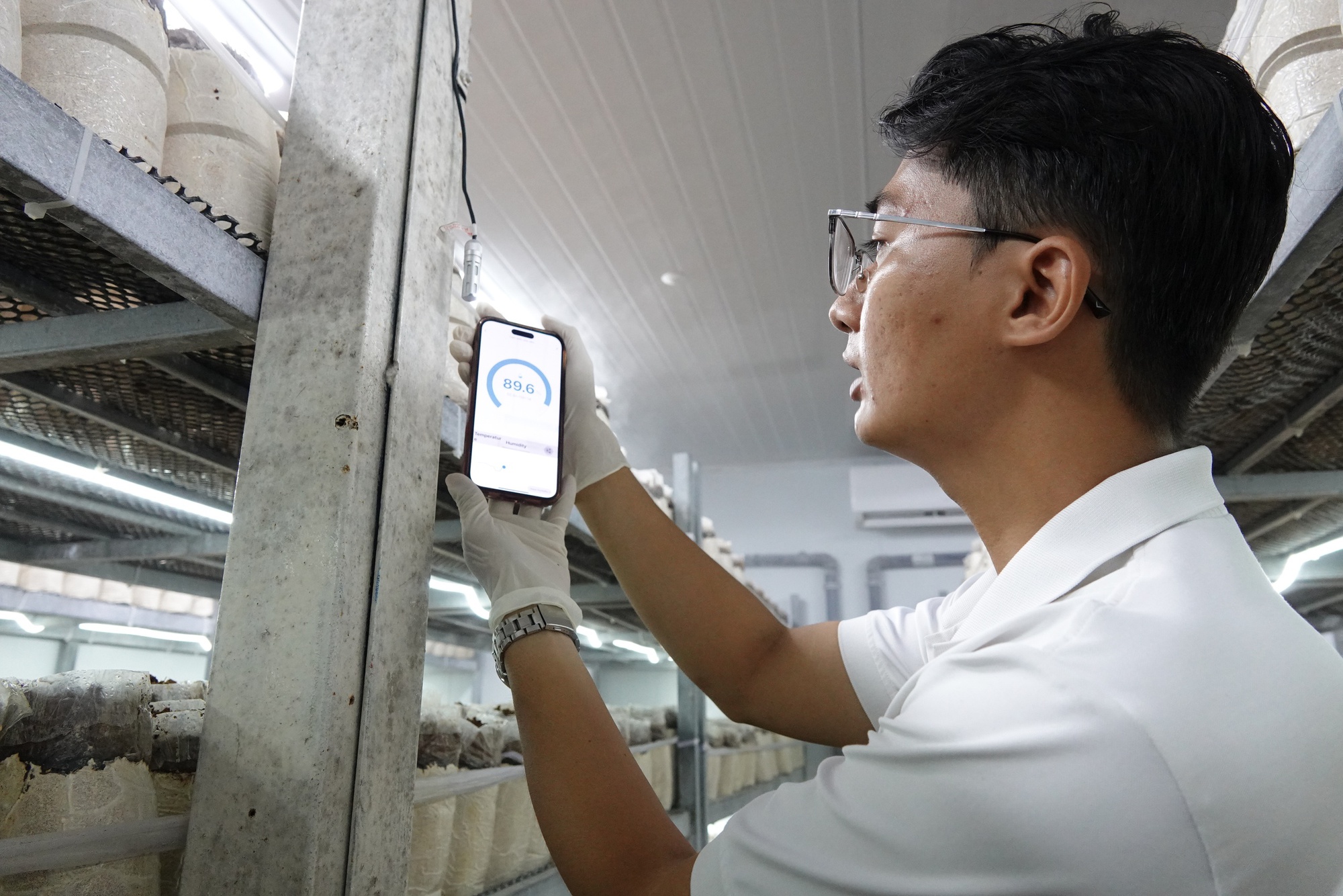 Chàng trai thu lãi hàng trăm triệu đồng nhờ nấm mối đen- Ảnh 3.