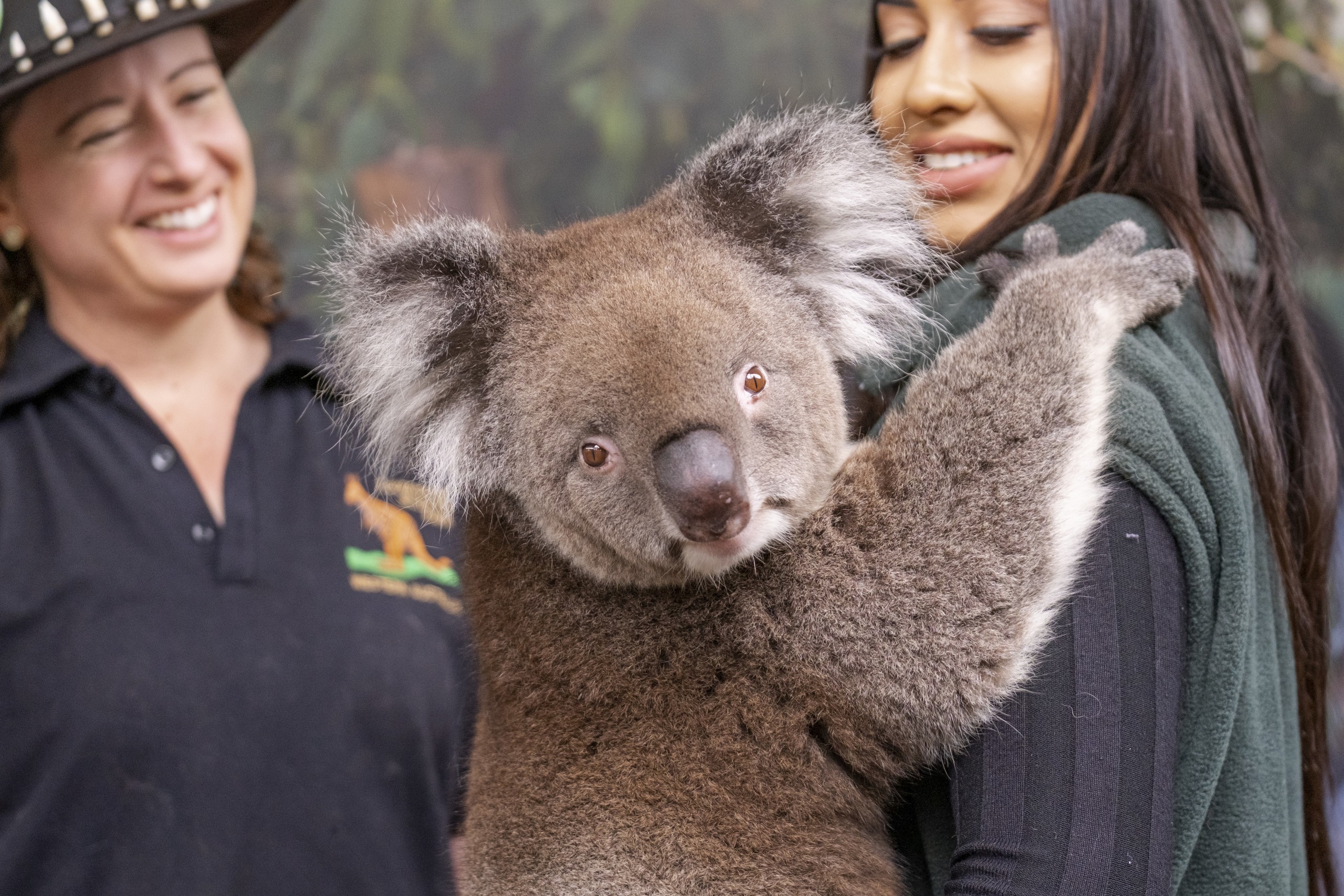 Khám phá vẻ đẹp nguyên sơ của vùng đất Tây Australia- Ảnh 9. Khám phá vẻ đẹp nguyên sơ của vùng đất Tây Australia - Ảnh 9.