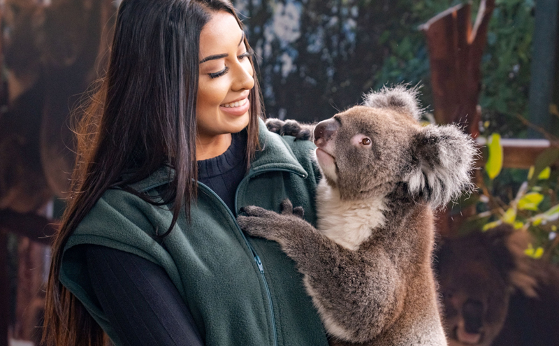 Khám phá vẻ đẹp nguyên sơ của vùng đất Tây Australia- Ảnh 7. Khám phá vẻ đẹp nguyên sơ của vùng đất Tây Australia - Ảnh 7.