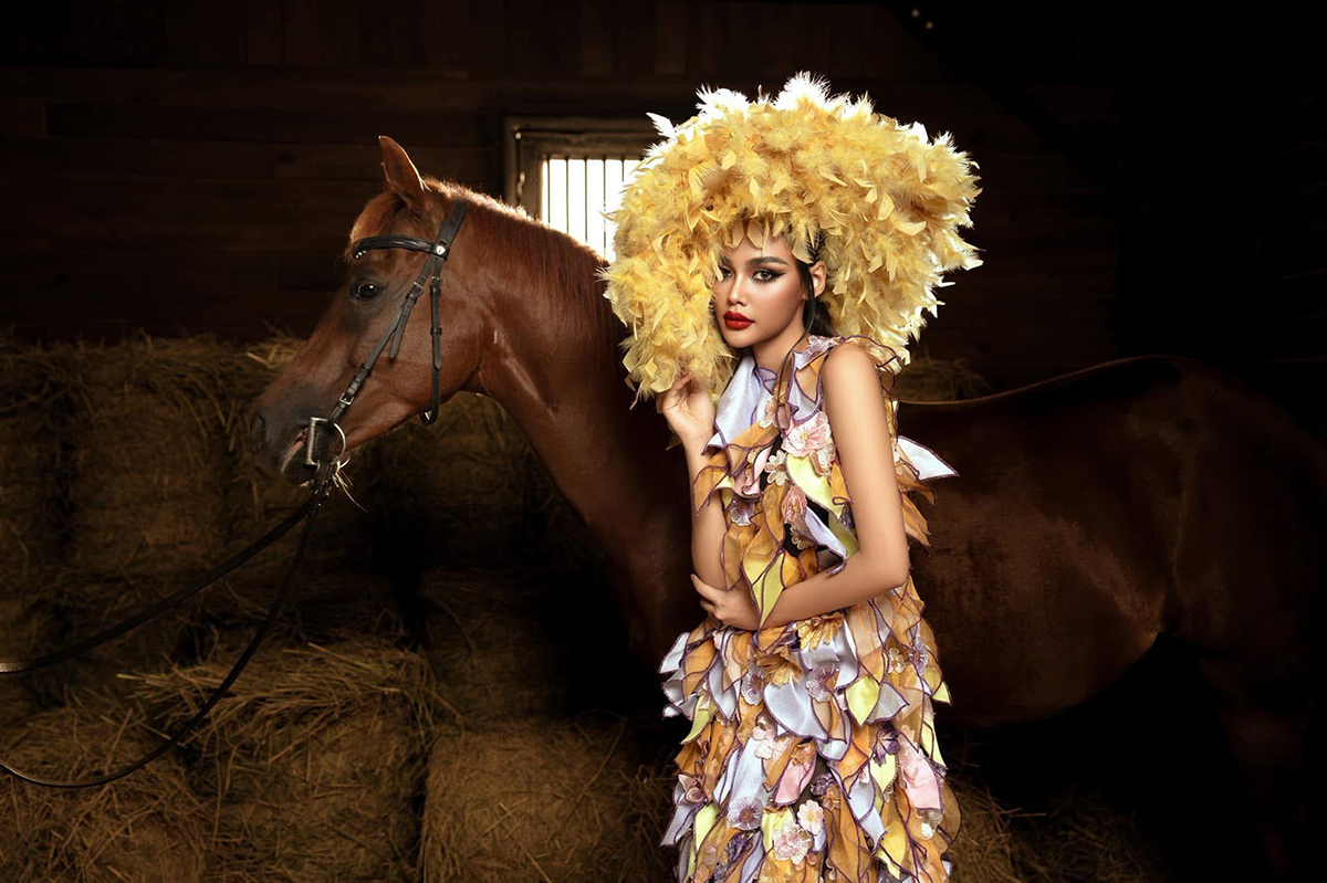 Học viện cưỡi ngựa Vinpearl Vũ Yên: Dấu ấn một năm đột phá, vươn tầm quốc tế - Ảnh 4.