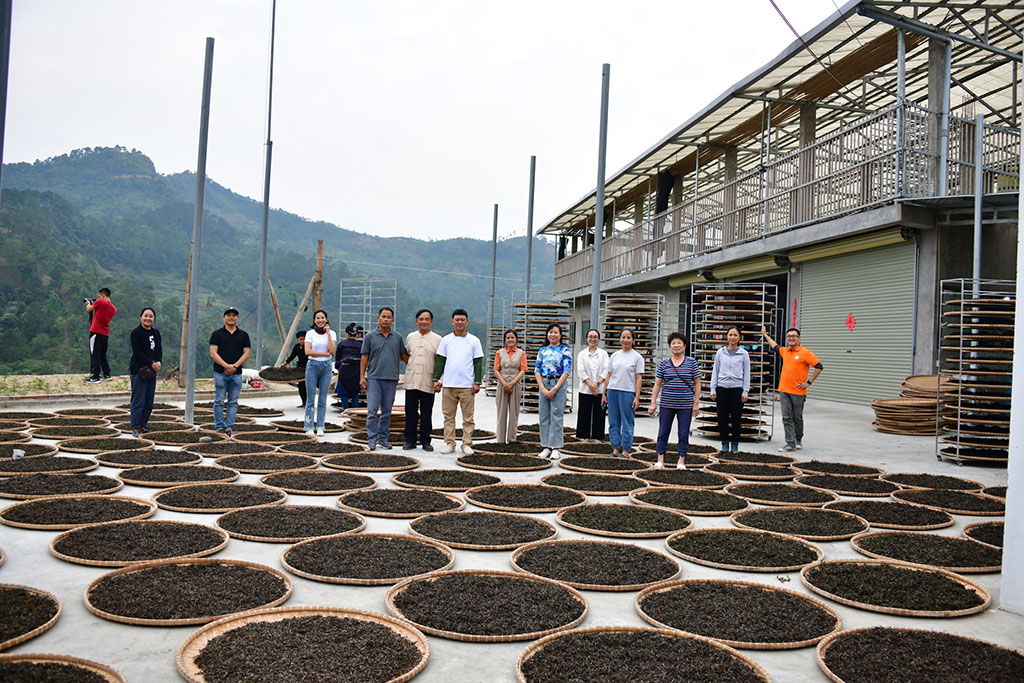 Uống trà đi!: Gieo mầm trà cho tương lai - Ảnh 3.