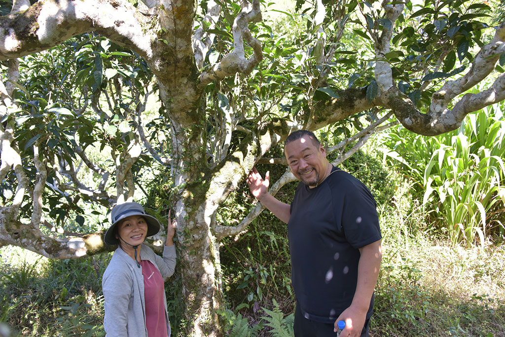 Uống trà đi!: Gieo mầm trà cho tương lai - Ảnh 2.