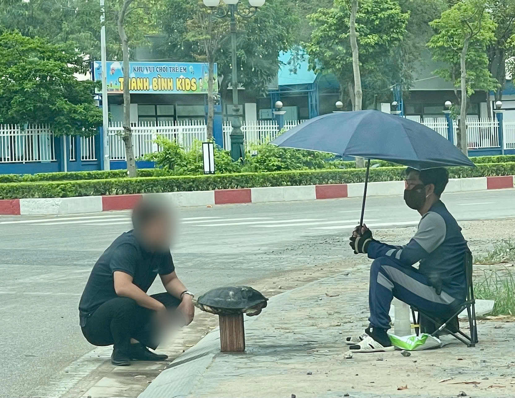 Rùa trong sách Đỏ được bày bán ở vỉa hè Hải Dương- Ảnh 1.