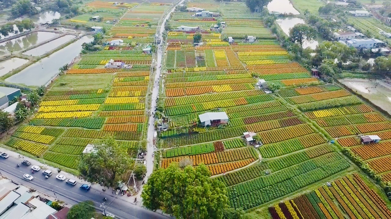 Bình Dương: “Xóa sổ” làng hoa Tân Ba, giao đất làm tổ hợp giáo dục của FPT - Ảnh 1.