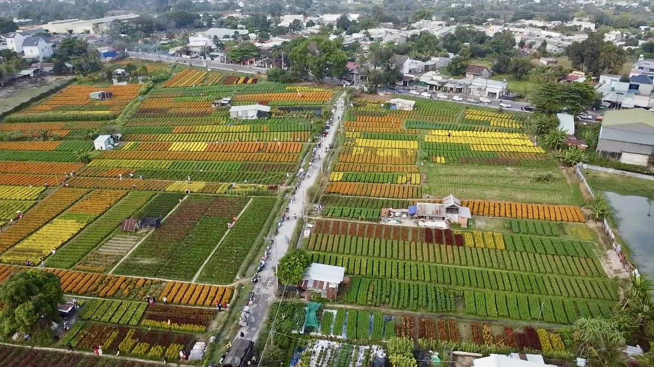 Bình Dương: “Xóa sổ” làng hoa Tân Ba, giao đất làm tổ hợp giáo dục của FPT - Ảnh 4.