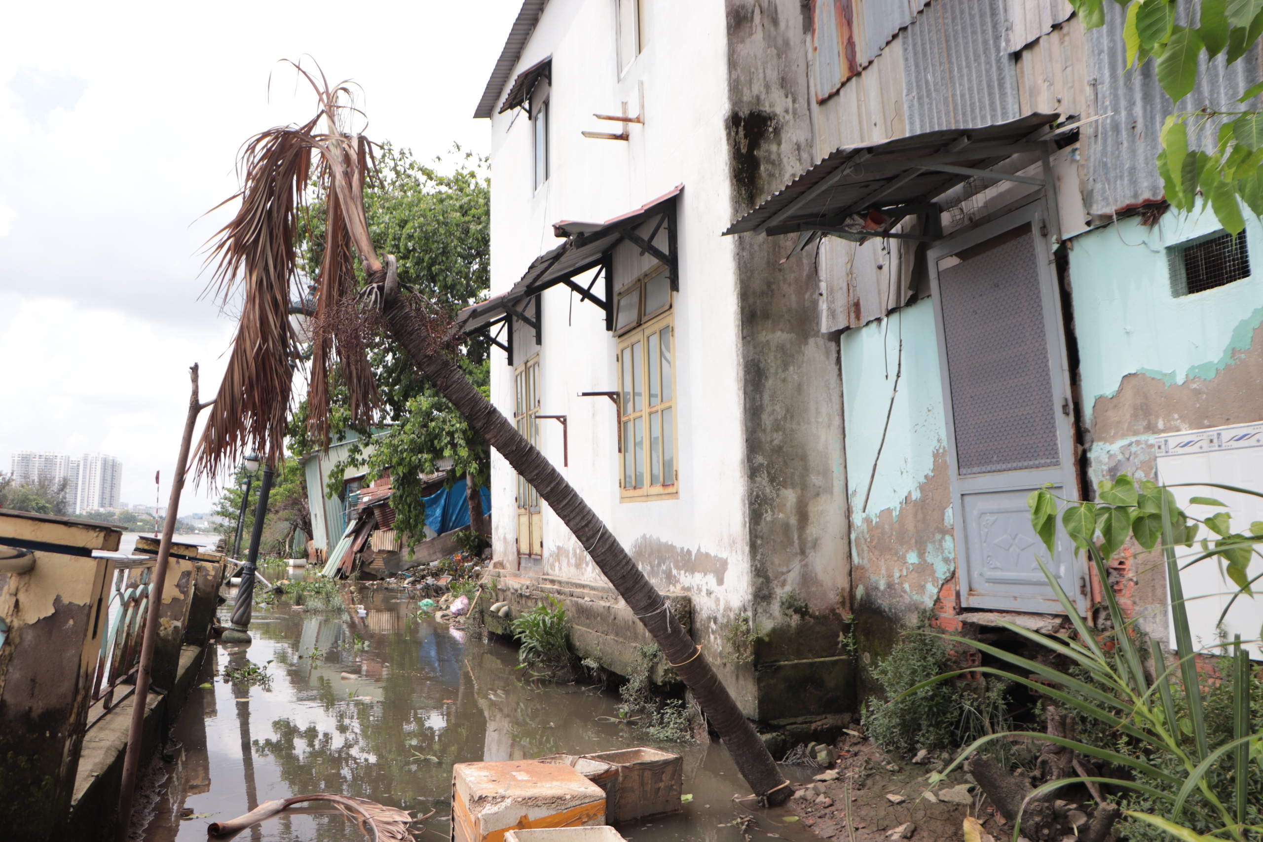 Sống c&ugrave;ng sạt lở: Người d&acirc;n b&ecirc;n k&egrave; Thanh Đa bất an mỗi ng&agrave;y - Ảnh 2.