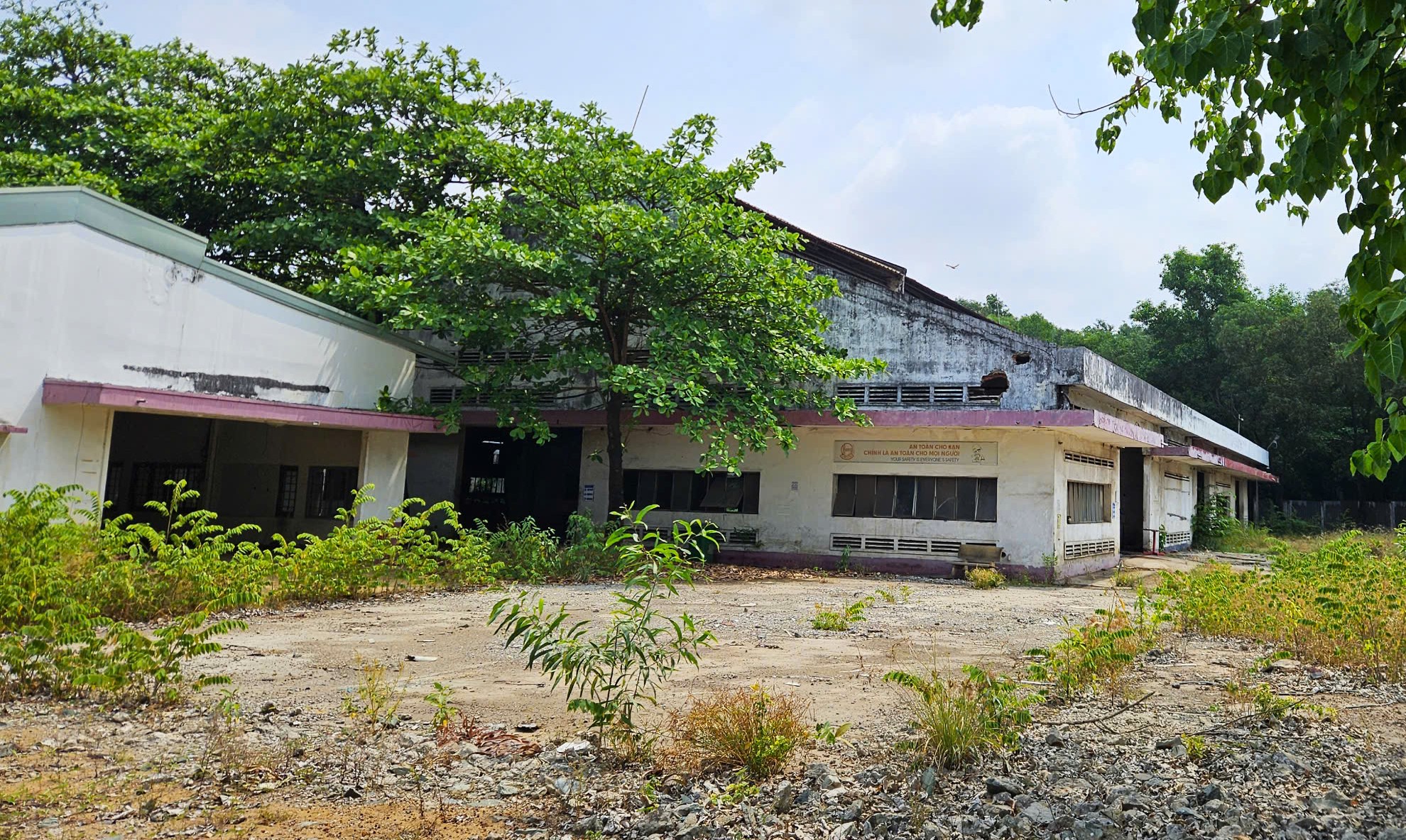 Doanh nghiệp ở TP.HCM tự nguyện trả lại khu 'đất vàng' hơn 11.000 m2- Ảnh 1. Doanh nghiệp ở TP.HCM tự nguyện trả lại khu 'đất vàng' hơn 11.000 m2- Ảnh 1.