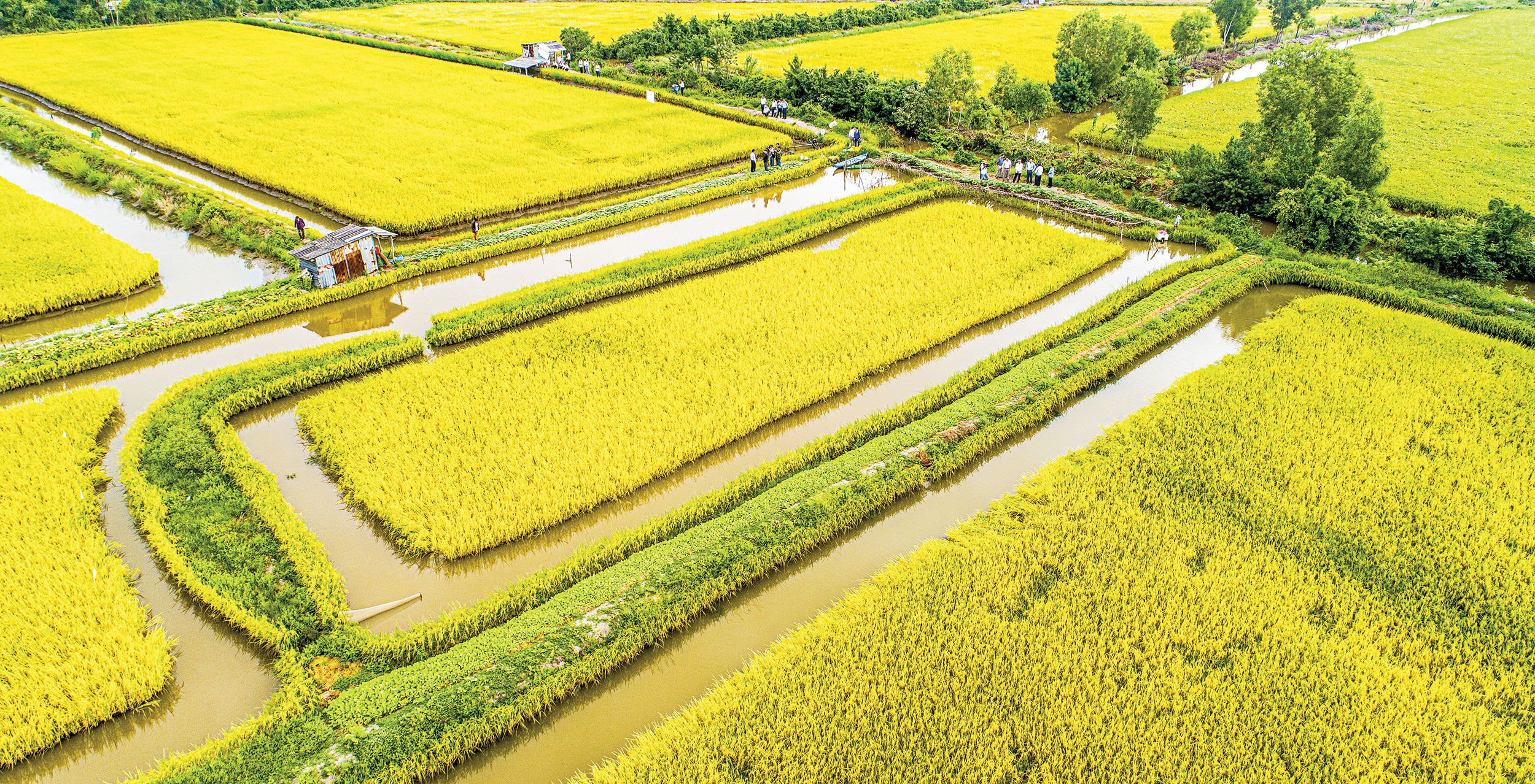 Chuyển công an điều tra dự án thanh toán ‘khống’ 49 tỉ đồng tại Bạc Liêu Chuyển công an điều tra dự án thanh toán ‘khống’ 49 tỉ đồng tại Bạc Liêu