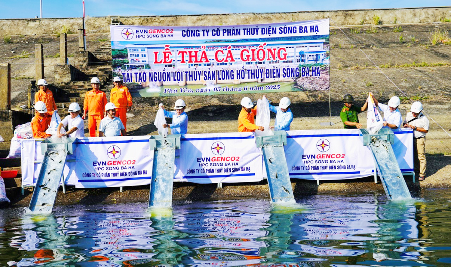 Thả cá giống tái tạo nguồn lợi thủy sản ở lòng hồ Sông Ba Hạ- Ảnh 1.