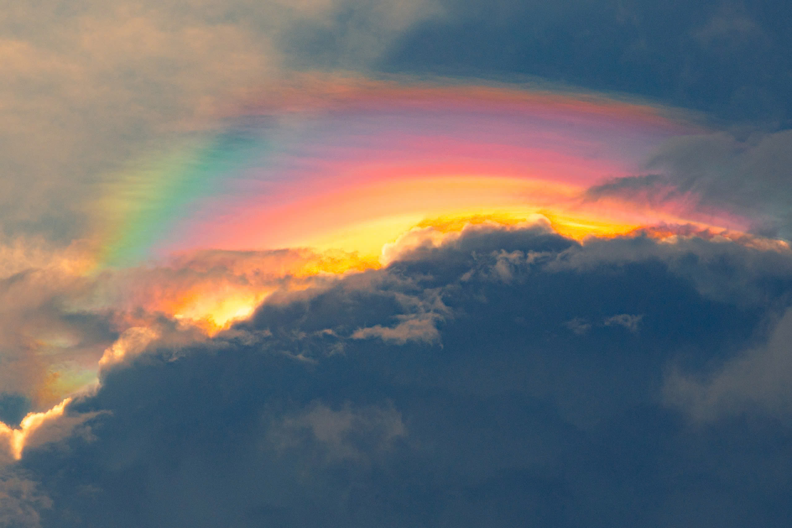 - Ảnh 1. - Ảnh 1.