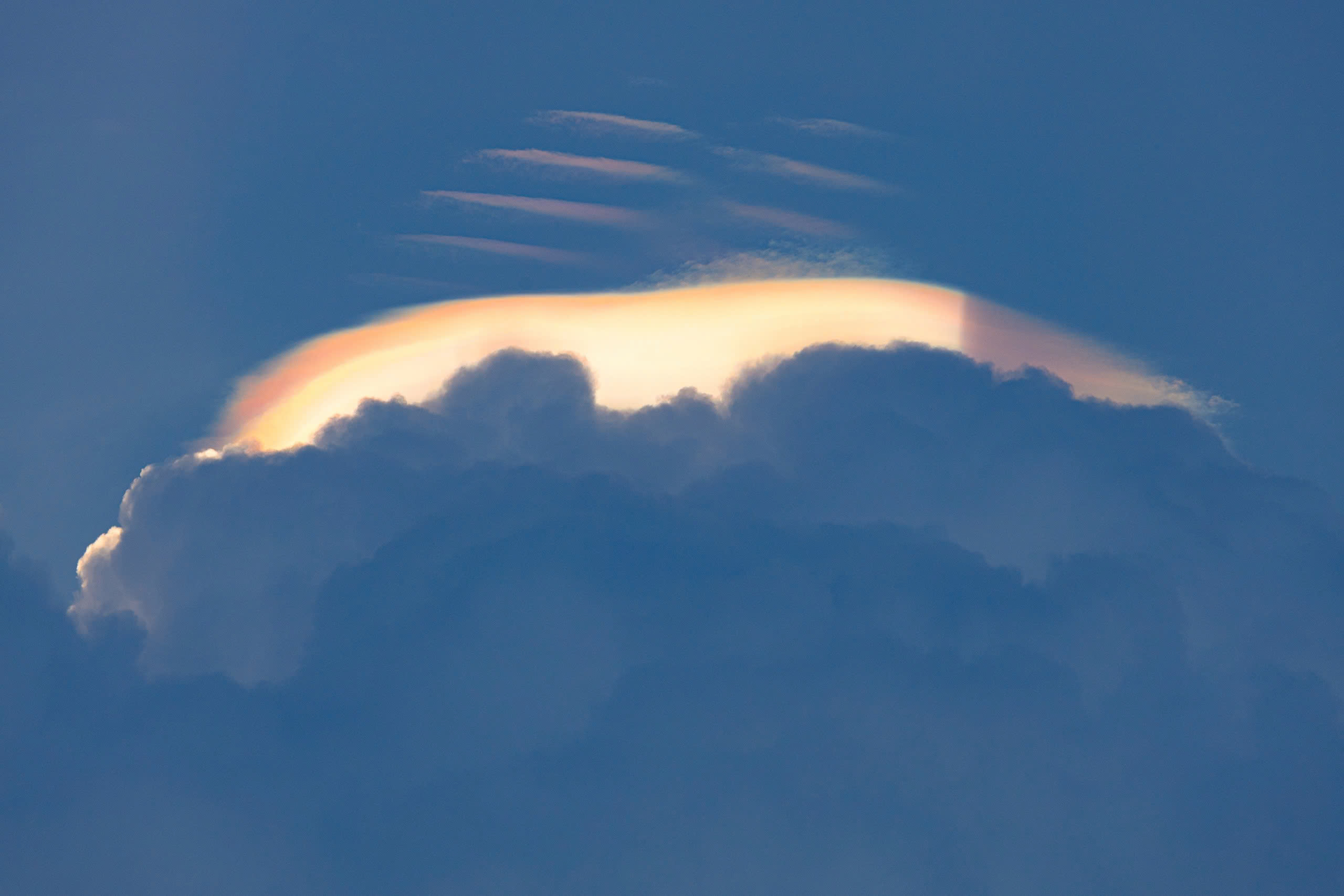 - Ảnh 3. - Ảnh 3.