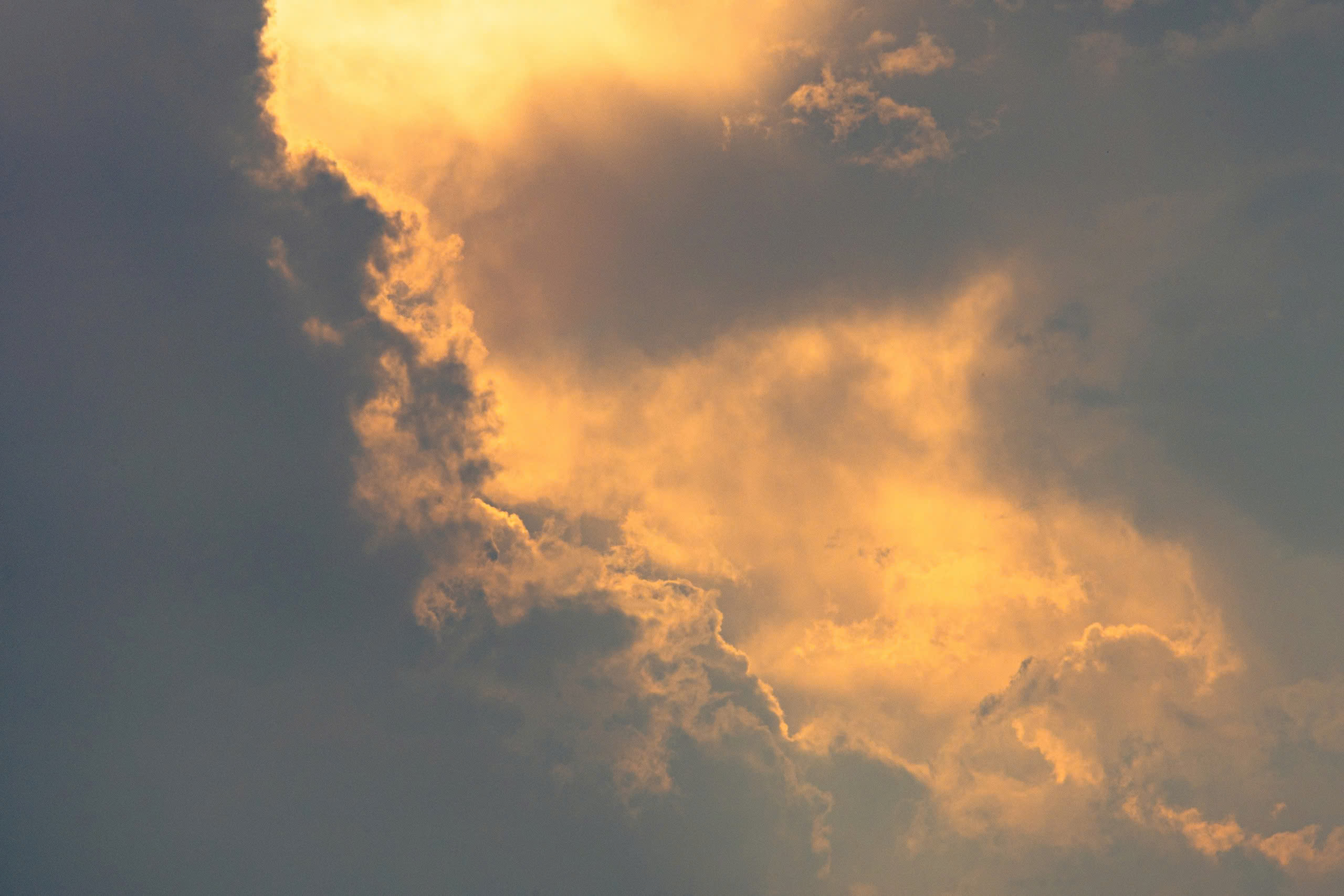 - Ảnh 2. - Ảnh 2.