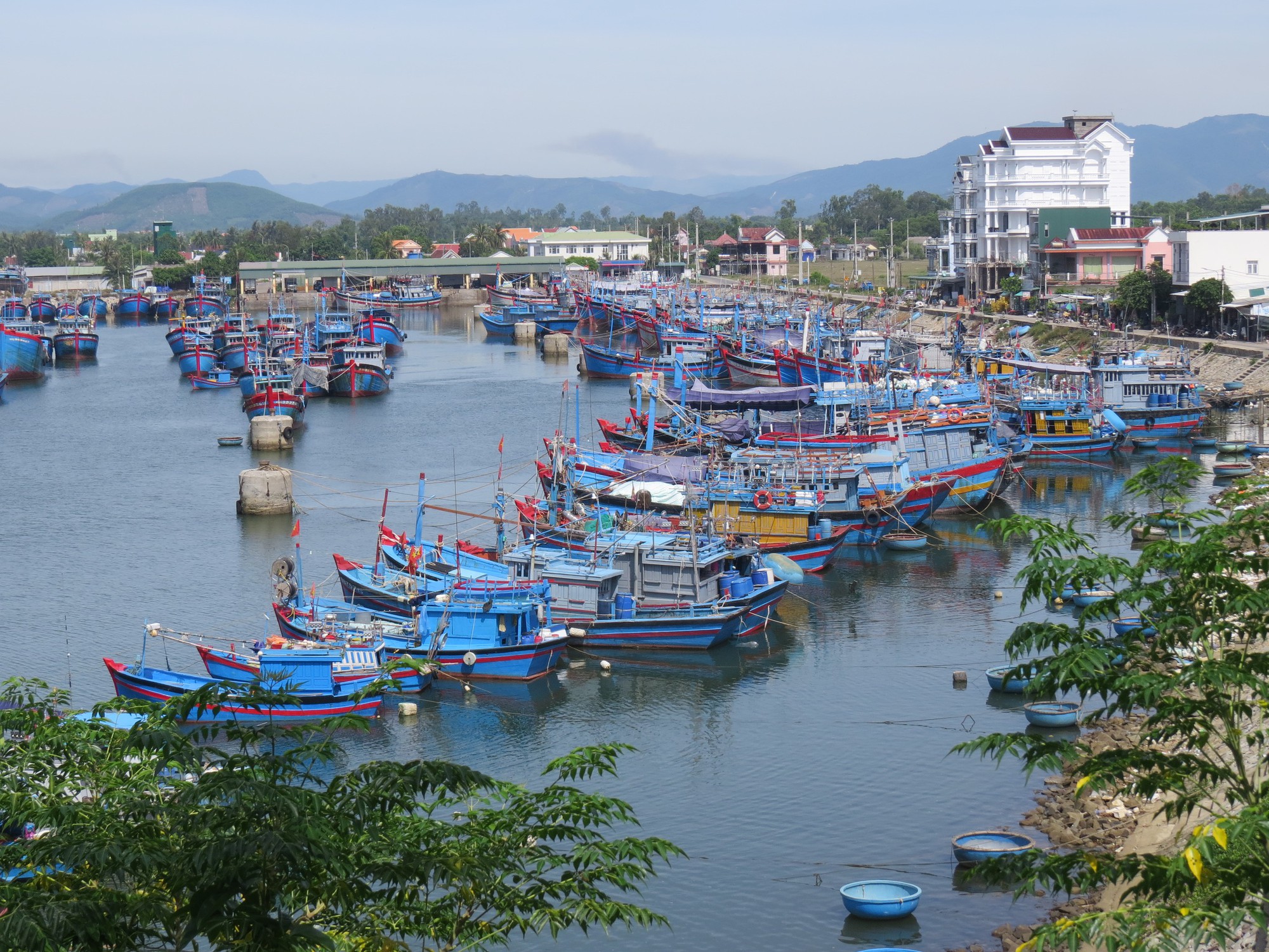 Tình người miền biển: Chuyện tình yêu thương giữa sóng gió và cuộc sống vươn lên - Ảnh 5.