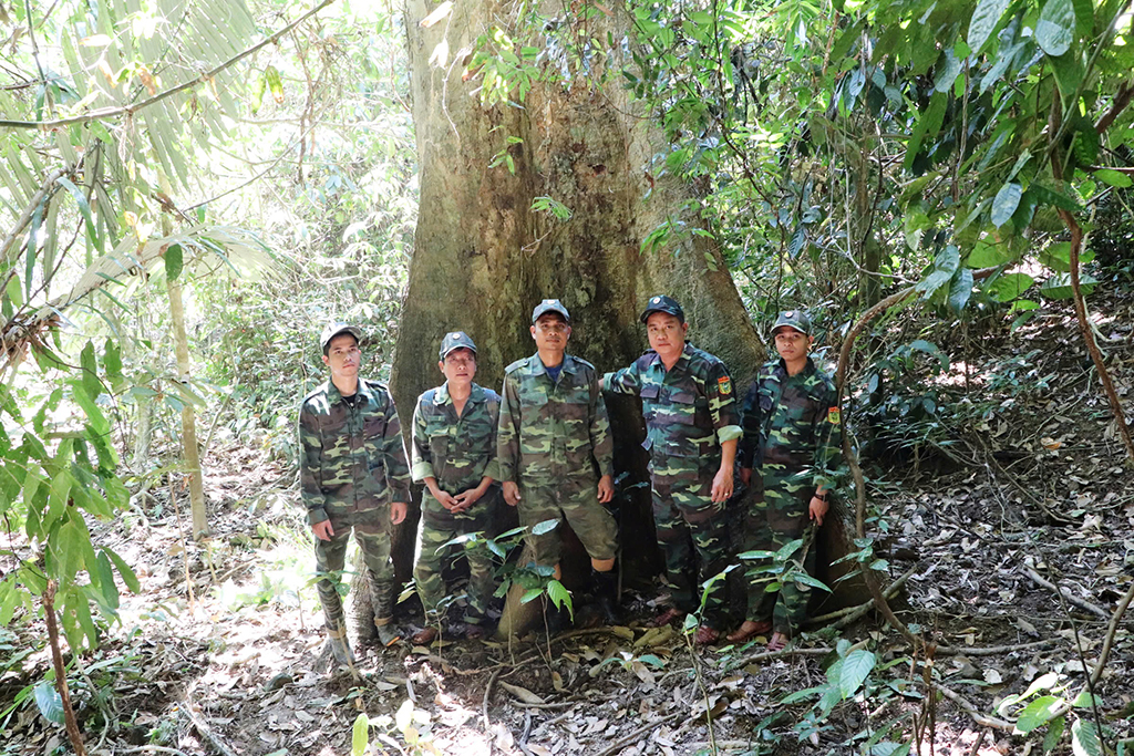 Trả nợ cho rừng: Hành trình khôi phục màu xanh tại Vườn quốc gia sông Thanh - Ảnh 2.