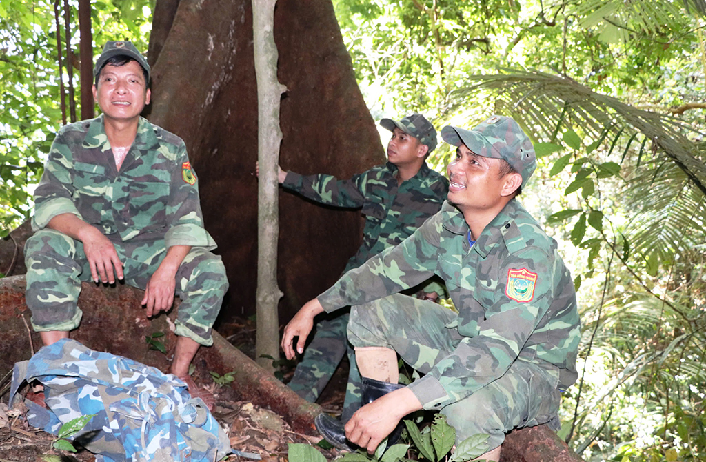 Trả nợ cho rừng: Hành trình khôi phục màu xanh tại Vườn quốc gia sông Thanh - Ảnh 5.