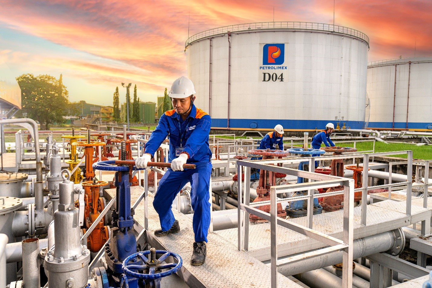 50 năm Petrolimex Sài Gòn đồng hành cùng TP.HCM- Ảnh 2.
