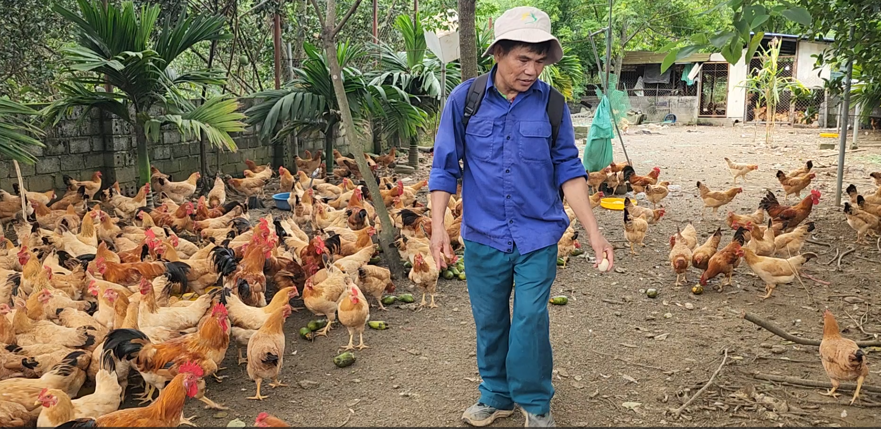 Cùng sống xanh số 115: Kỹ sư thực chiến U70 và những giải pháp thuận tự nhiên trên nông trại