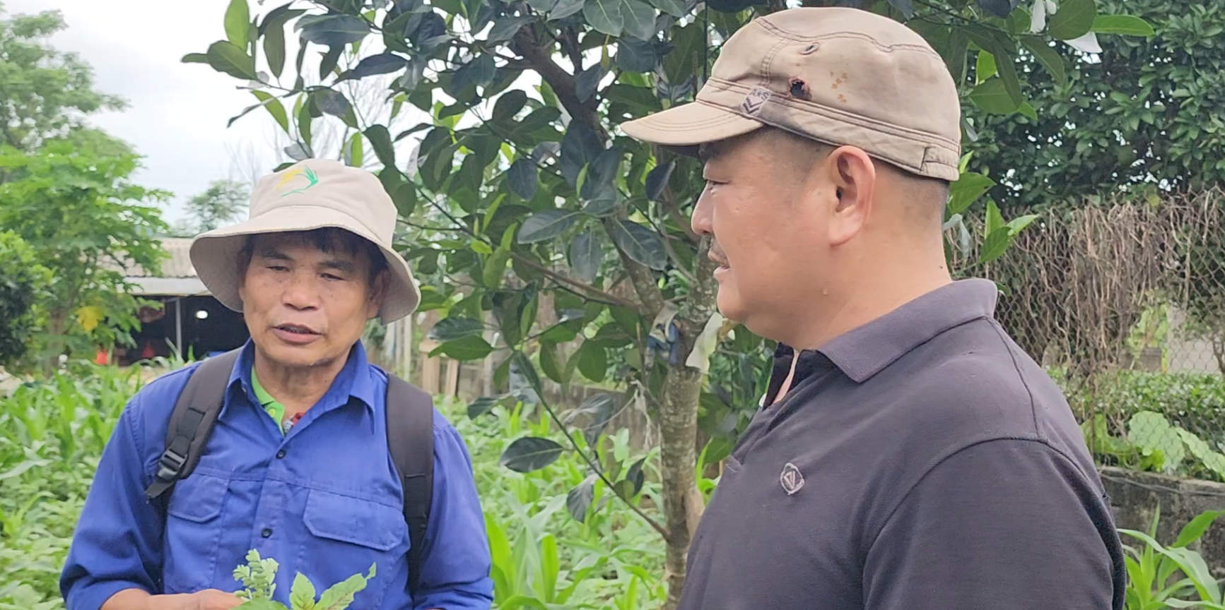 Cùng sống xanh số 115: Kỹ sư thực chiến U70 - Ảnh 3.