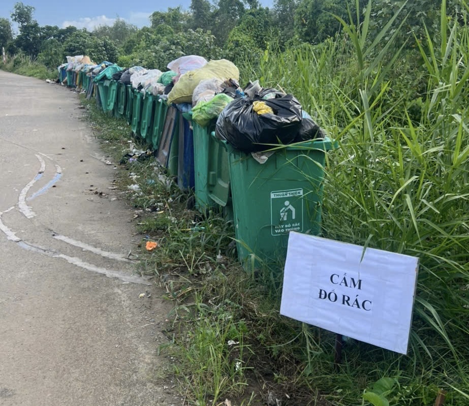  - Ảnh 1.