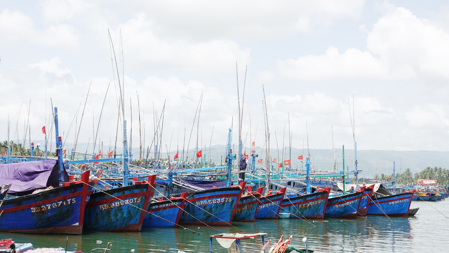 Chống khai thác IUU, Gia Lai buộc 650 tàu cá nằm bờ- Ảnh 1. Chống khai thác IUU, Gia Lai buộc 650 tàu cá nằm bờ- Ảnh 1.