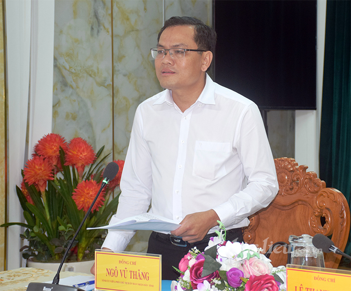 Cà Mau: Phân công nhiệm vụ Chủ tịch làm tổng chỉ huy - Ảnh 7.