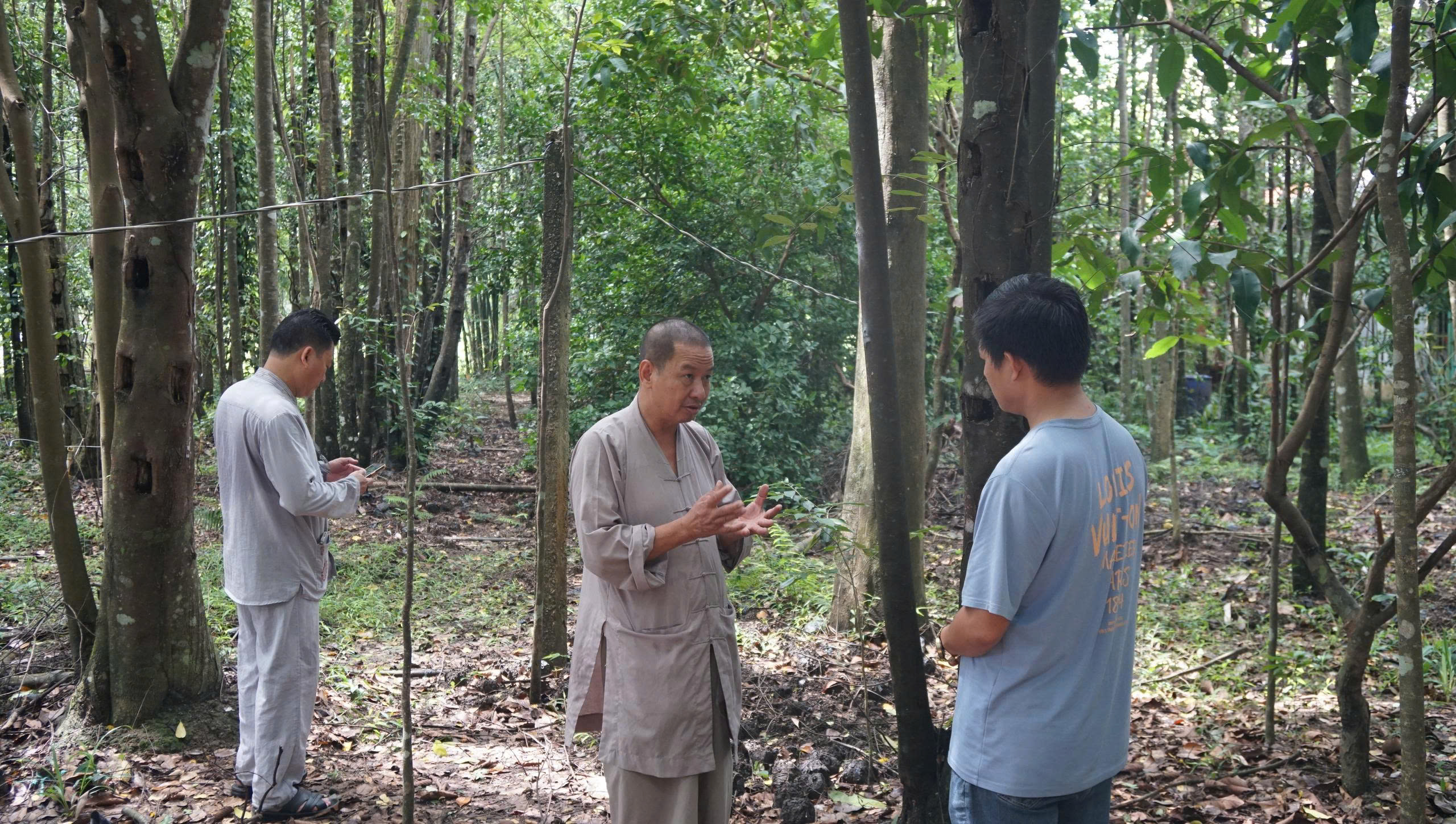 Khát vọng trầm hương của 'nhà sư Thị Kính': Rừng dó bầu nơi cửa Phật- Ảnh 4. Khát vọng trầm hương của 'nhà sư Thị Kính': Rừng dó bầu nơi cửa Phật- Ảnh 4.