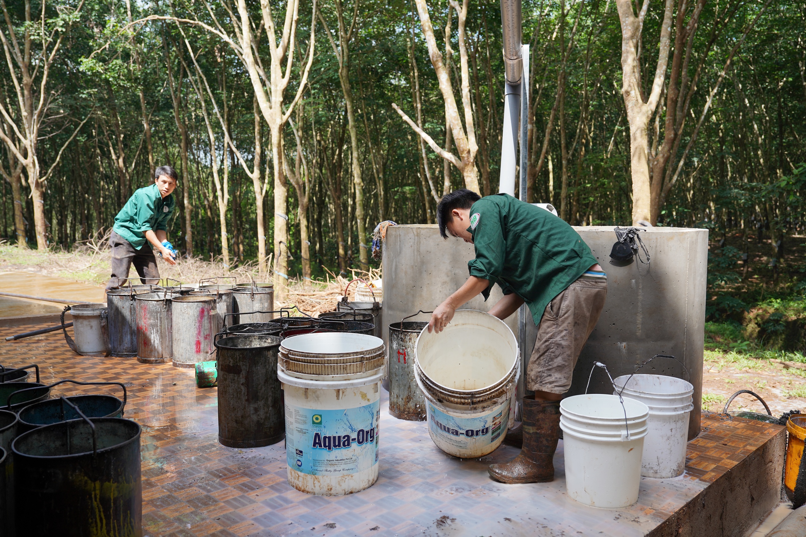 Chuyện làng công nhân trong rừng cao su ở TP.HCM - Ảnh 4.