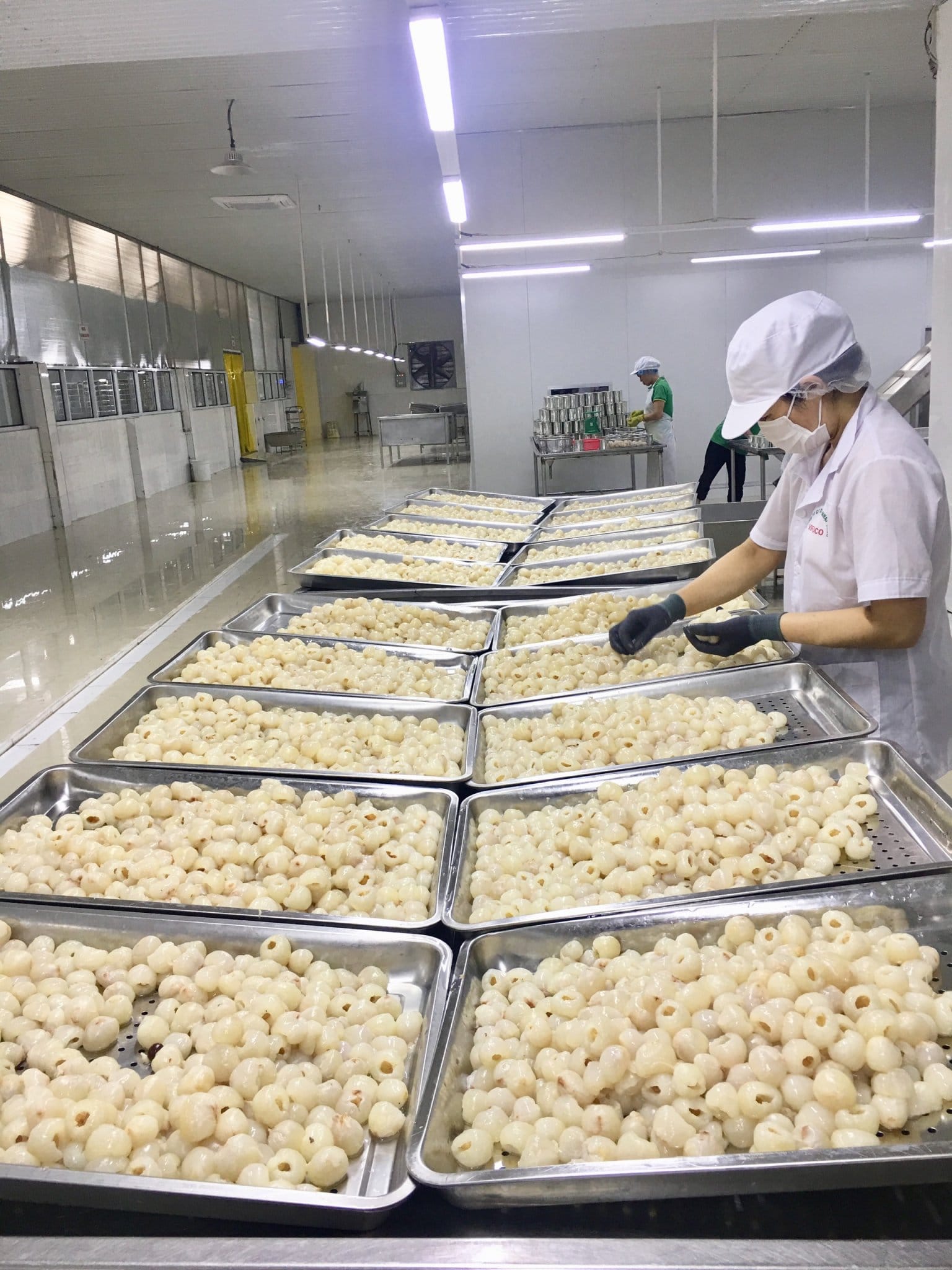 Tìm đường 'cứu' vải, mận- Ảnh 2. Tìm đường 'cứu' vải, mận- Ảnh 2.