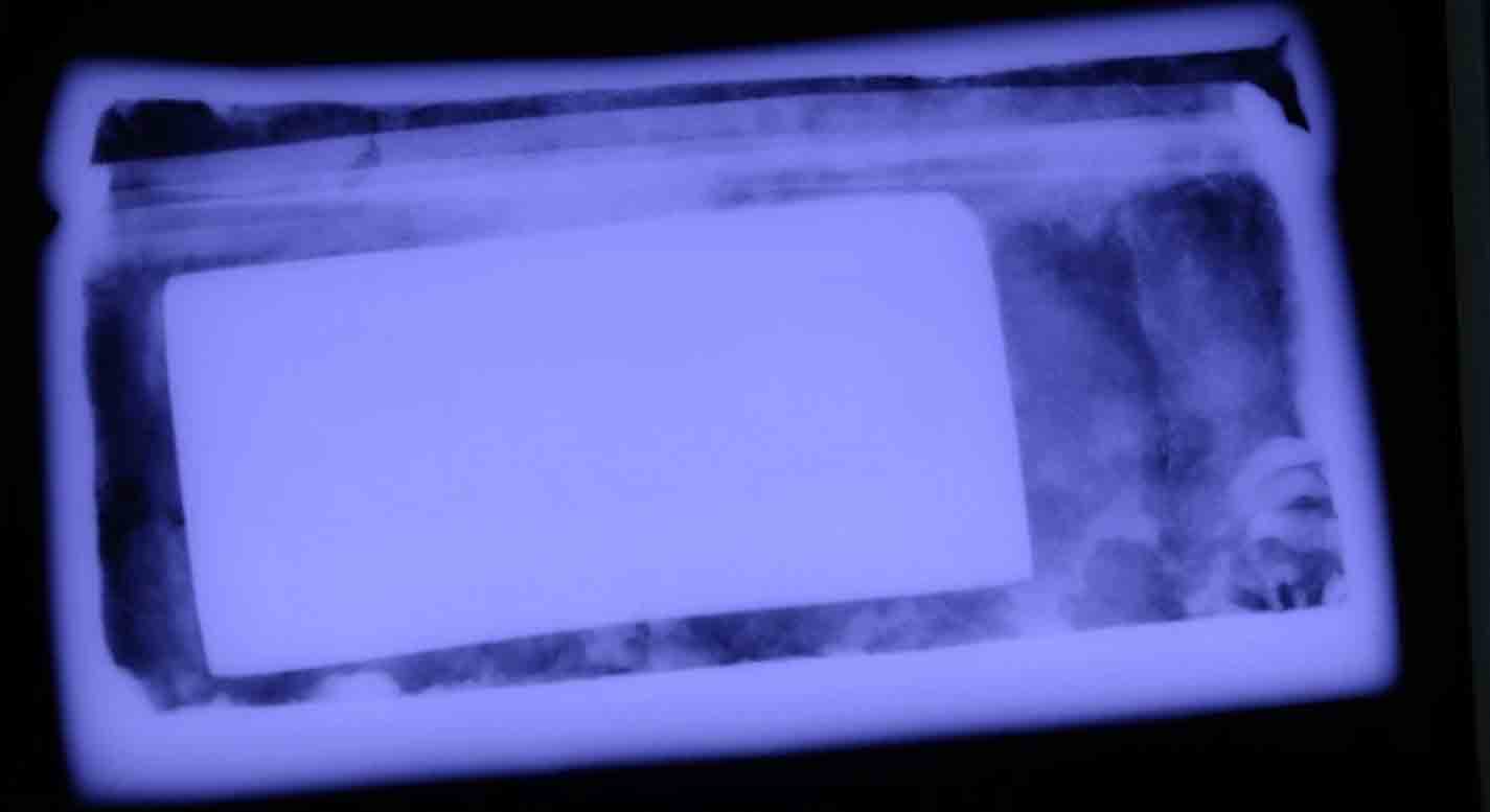 گردشگری اکتشاف میراث، در پی ردپای امپراتور بودایی - عکس ۲. Du lịch khám phá di sản, theo dấu Phật hoàng- Ảnh 2.