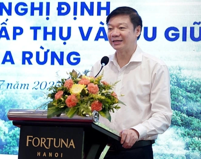 'Cởi trói' mua bán tín chỉ carbon rừng - Ảnh 1.