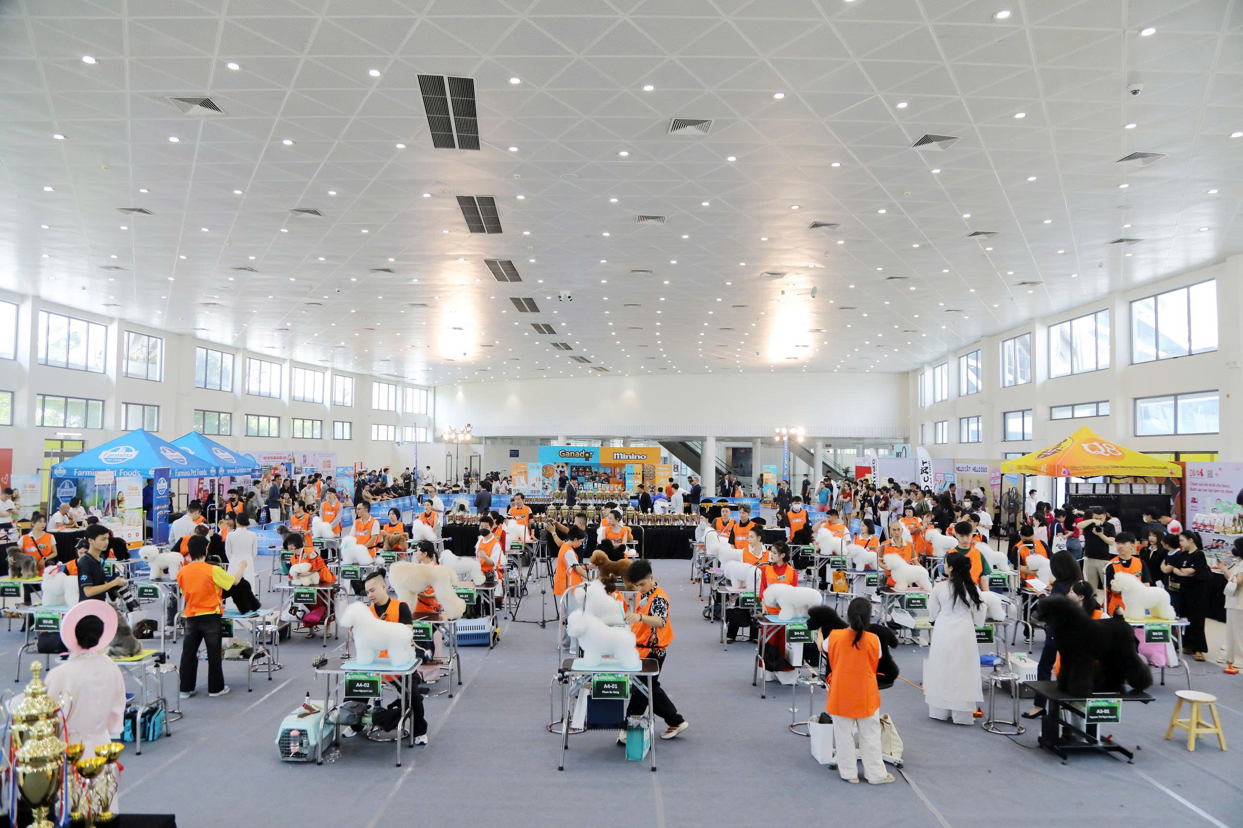 400 chó cảnh quý tham gia tranh tài Chó đẹp quốc tế - Đà Nẵng 2025 - Ảnh 2.