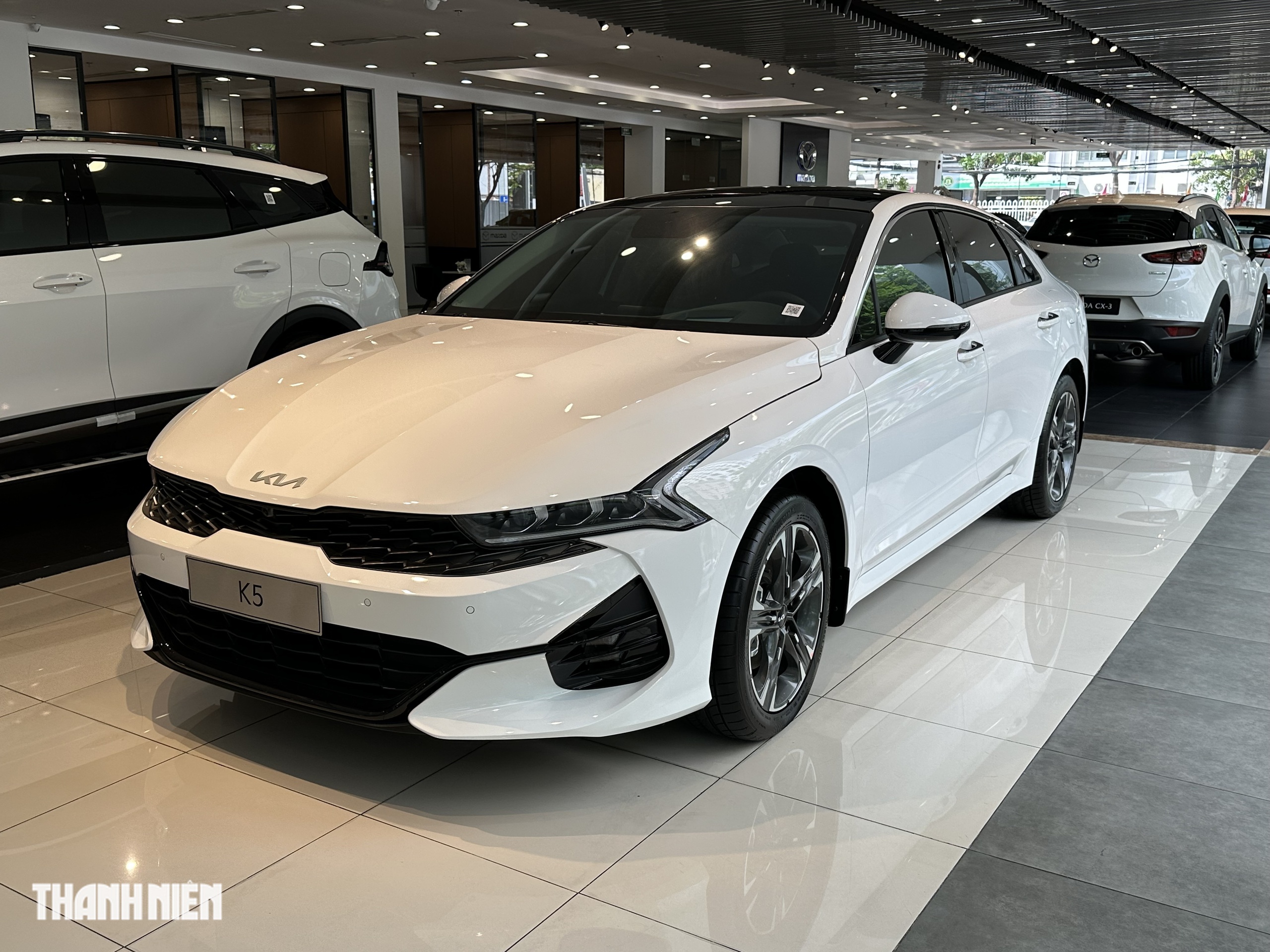Phân khúc sedan hạng D biến động ra sao sau nửa đầu năm 2025?