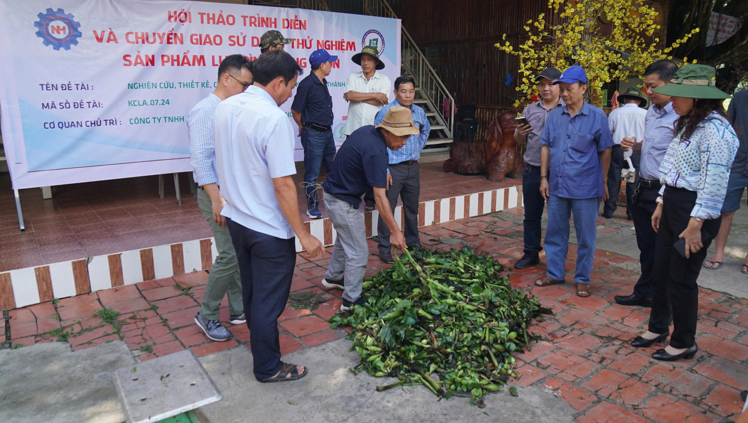 Thân phận lục bình Nam bộ: Ai cũng muốn 'xử' lục bình- Ảnh 1. Thân phận lục bình Nam bộ: Ai cũng muốn 'xử' lục bình- Ảnh 1.