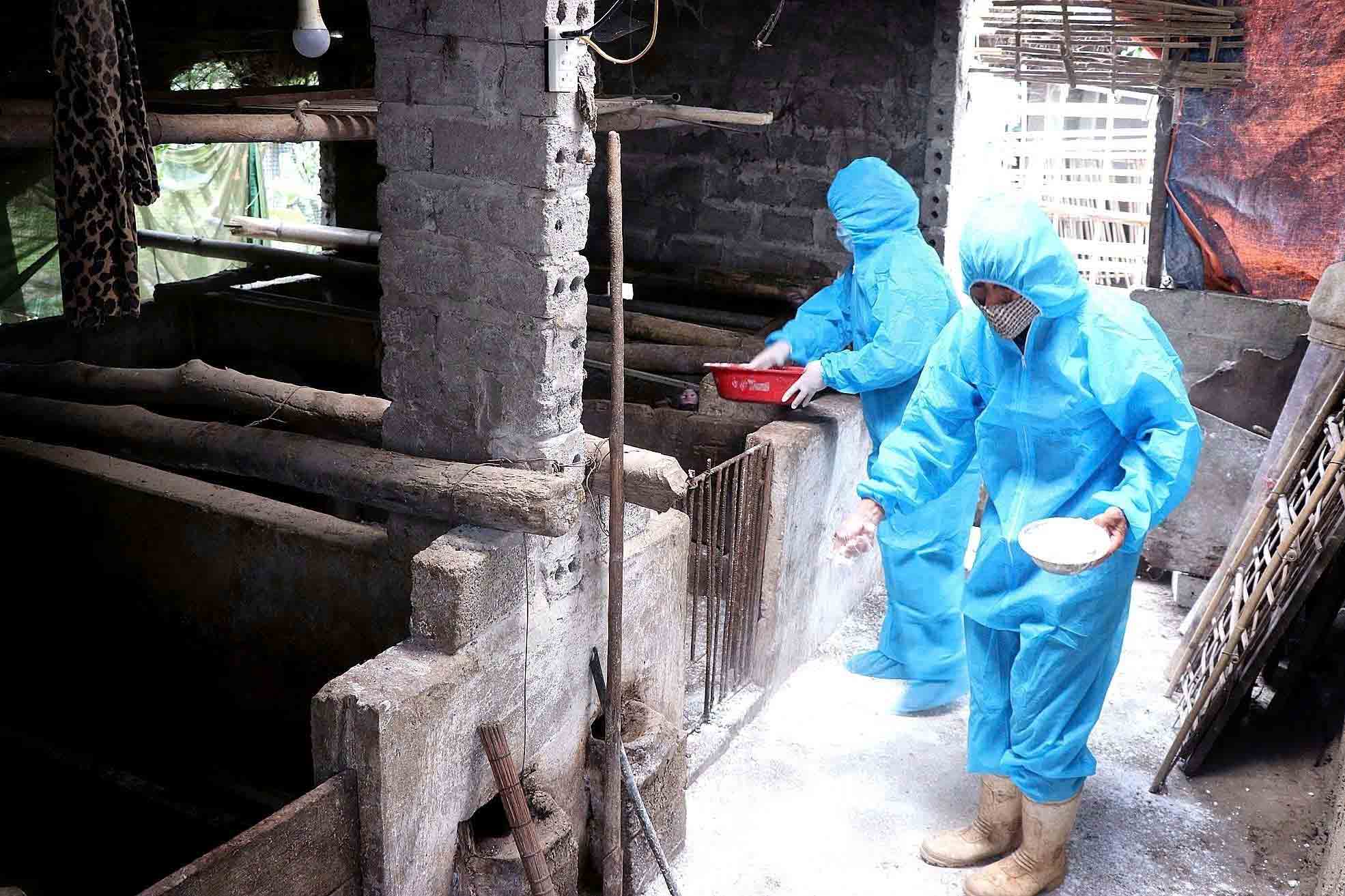Ngăn lợn bệnh tuồn ra thị trường - Ảnh 2.