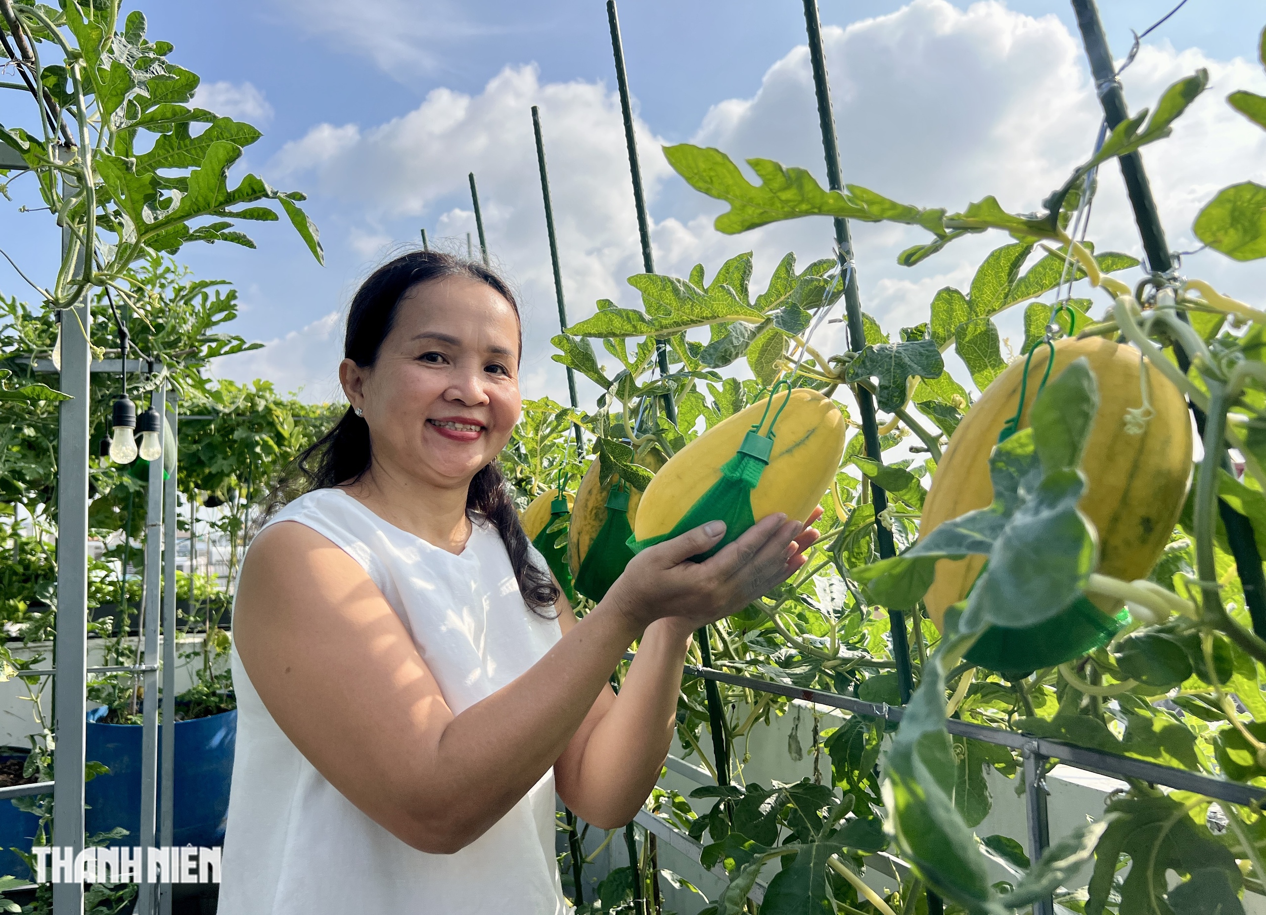 Vườn sân thượng ở TP.HCM trồng bí, dưa lưới sai quả: Bí quyết ăn quanh năm không hết- Ảnh 9. Vườn sân thượng ở TP.HCM trồng bí, dưa lưới sai quả: Bí quyết ăn quanh năm không hết- Ảnh 9.