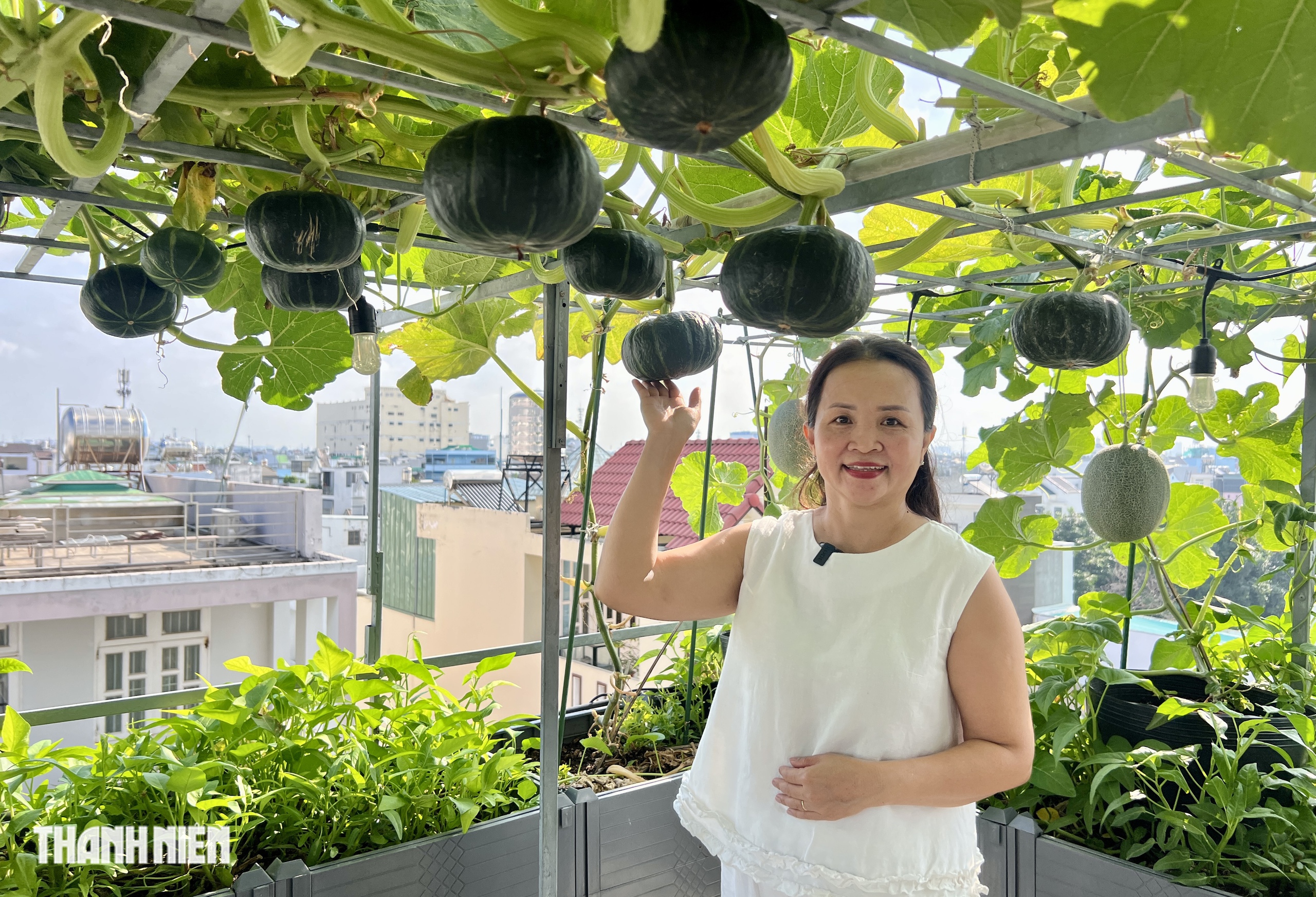 Vườn sân thượng ở TP.HCM trồng bí, dưa lưới sai quả: Bí quyết ăn quanh năm không hết- Ảnh 5. Vườn sân thượng ở TP.HCM trồng bí, dưa lưới sai quả: Bí quyết ăn quanh năm không hết- Ảnh 5.