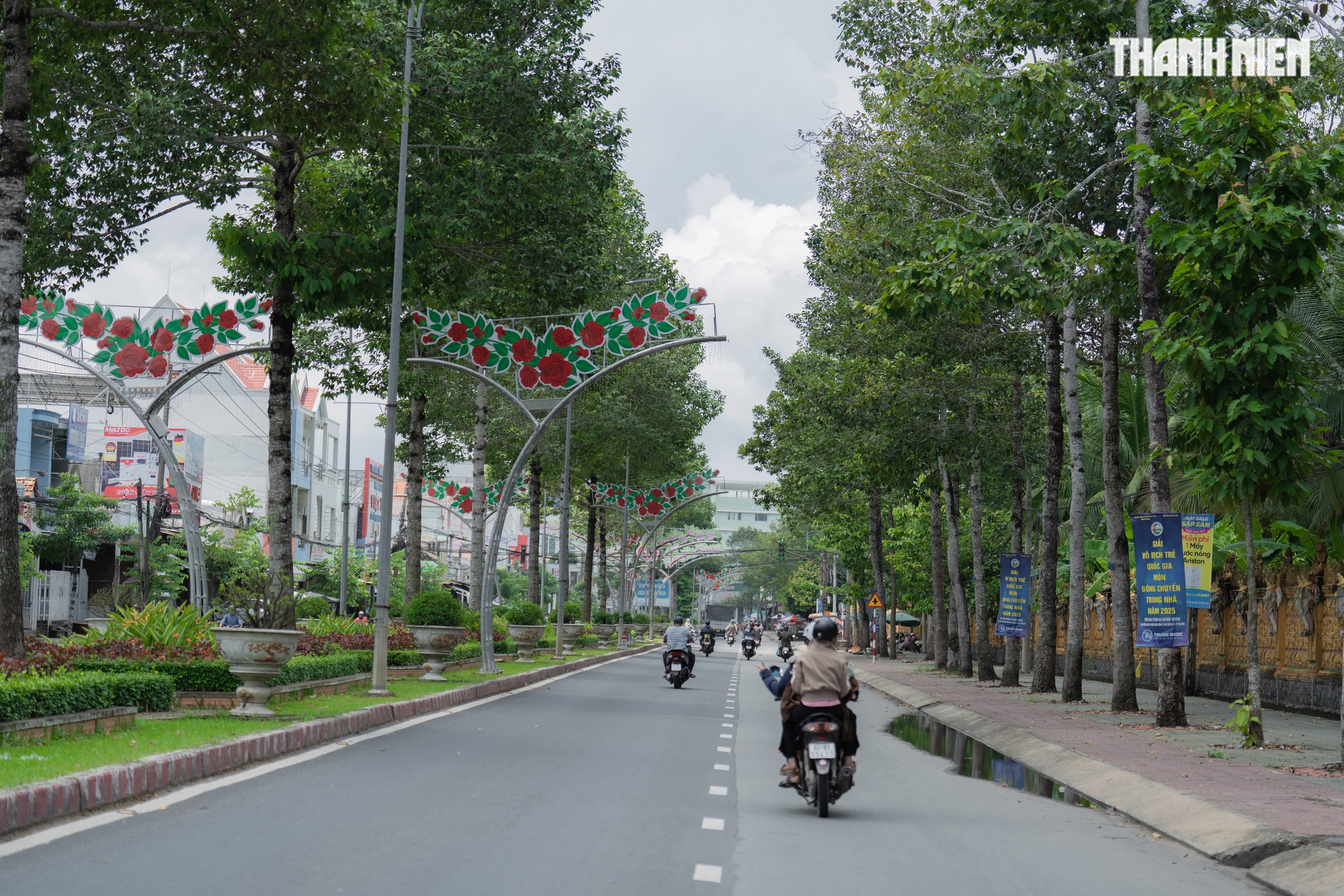 Hơn 800 cây cổ thụ trên 100 tuổi giữa đô thị xanh Vĩnh Long- Ảnh 16.