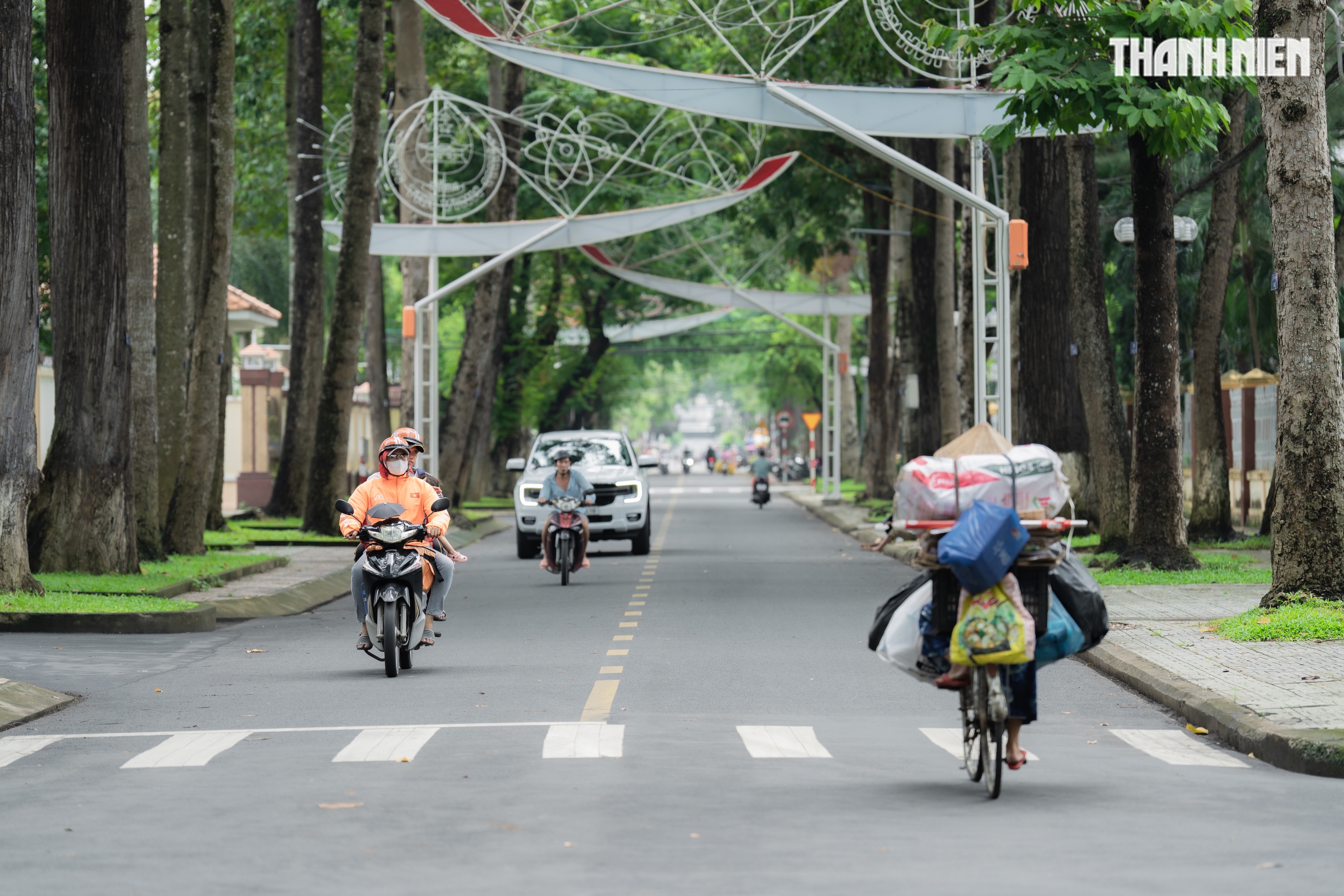 Hơn 800 cây cổ thụ trên 100 tuổi giữa đô thị xanh Vĩnh Long- Ảnh 15.