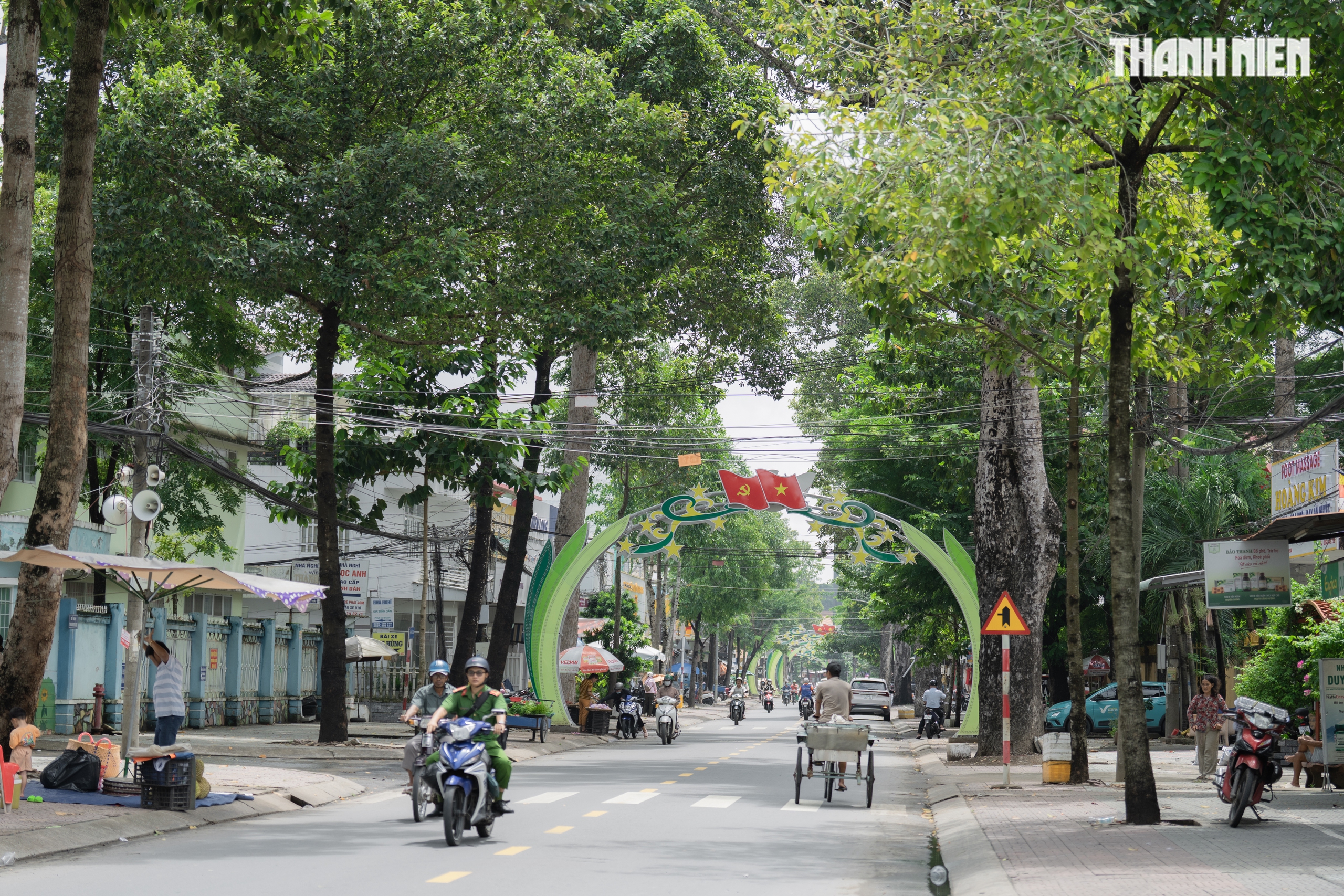 Hơn 800 cây cổ thụ trên 100 tuổi giữa đô thị xanh Vĩnh Long- Ảnh 5.